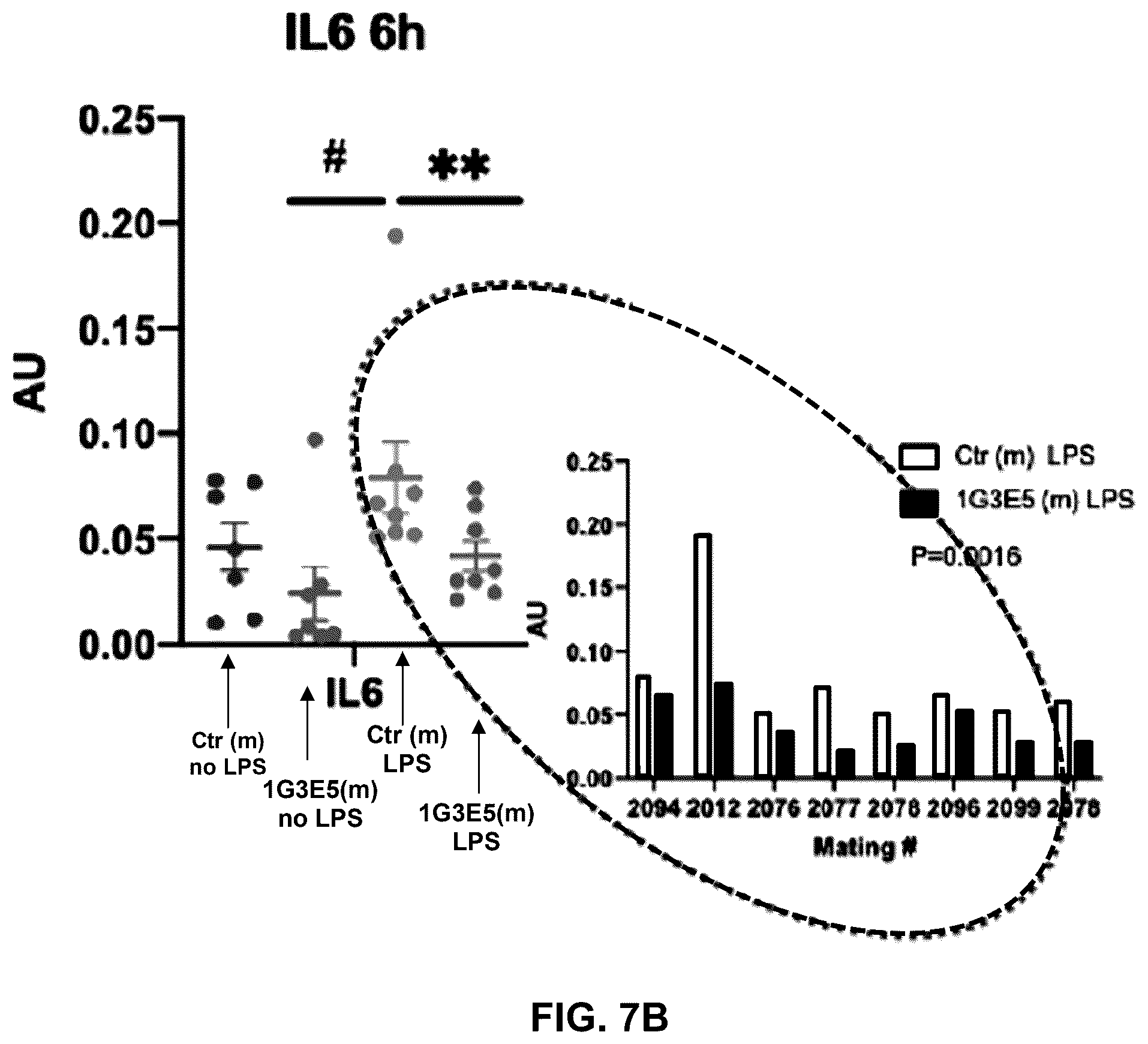 Patent US12492245 Figure 8 – Anti-CCL8 antibodies and treatment of lung injury by CCL8 inhibition