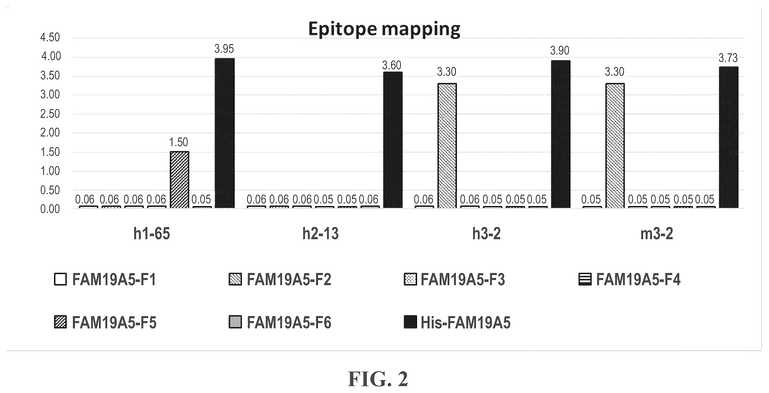 Patent US12492246 Figure 2 – Anti-FAM19A5 antibodies and uses thereof