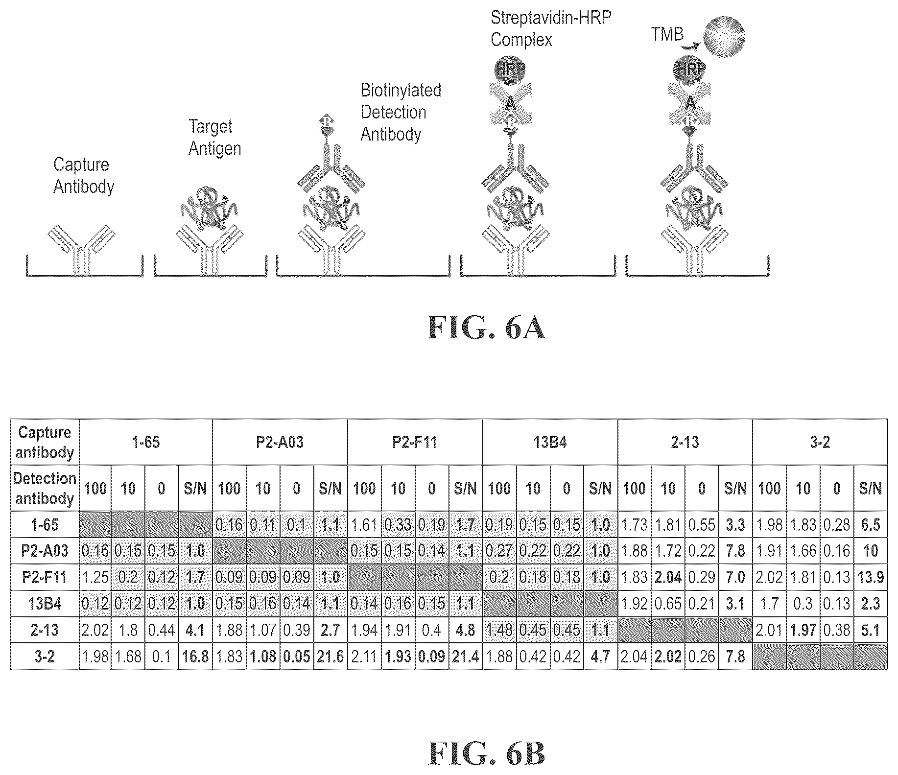 Patent US12492246 Figure 7 – Anti-FAM19A5 antibodies and uses thereof