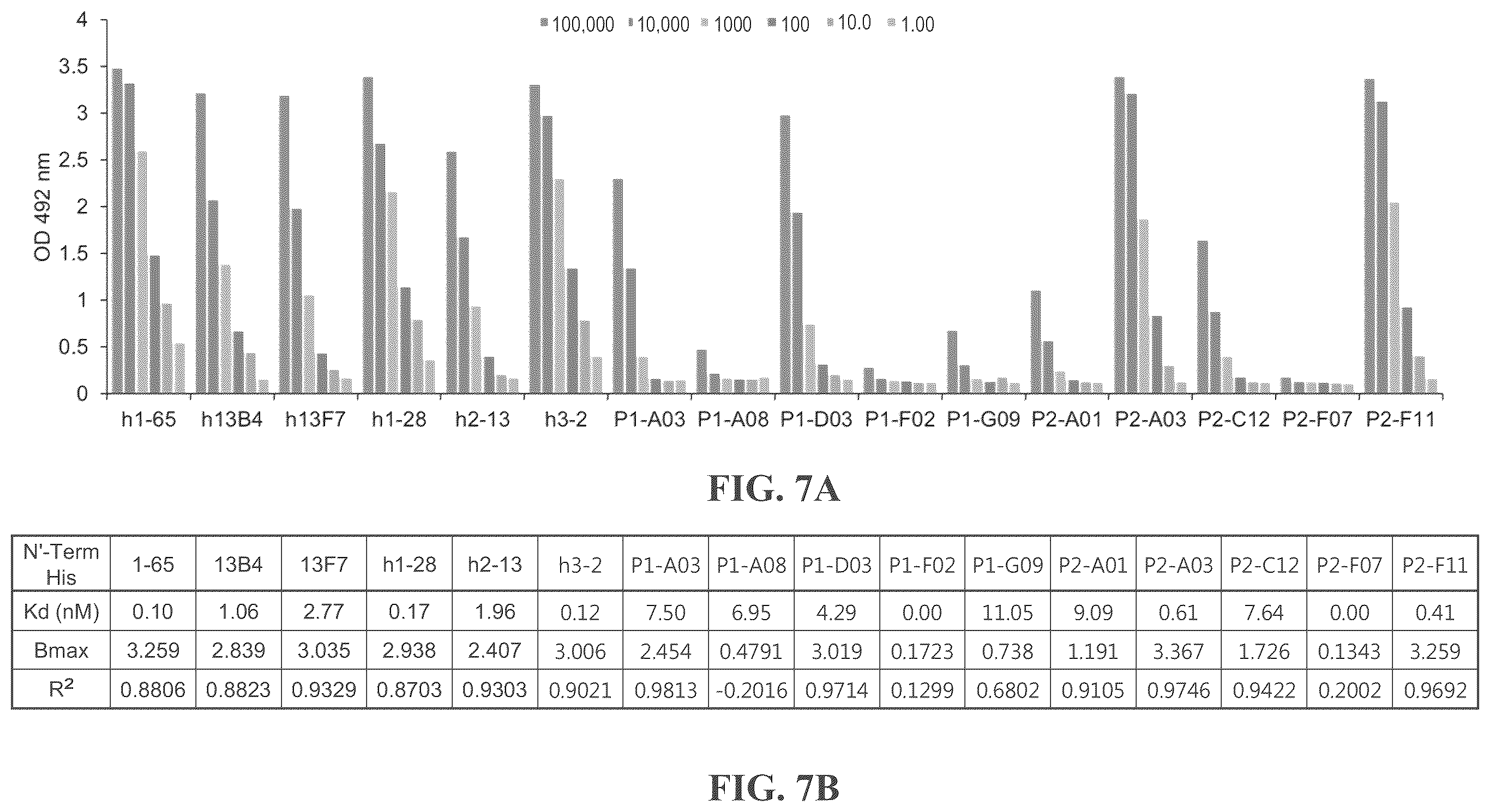 Patent US12492246 Figure 8 – Anti-FAM19A5 antibodies and uses thereof