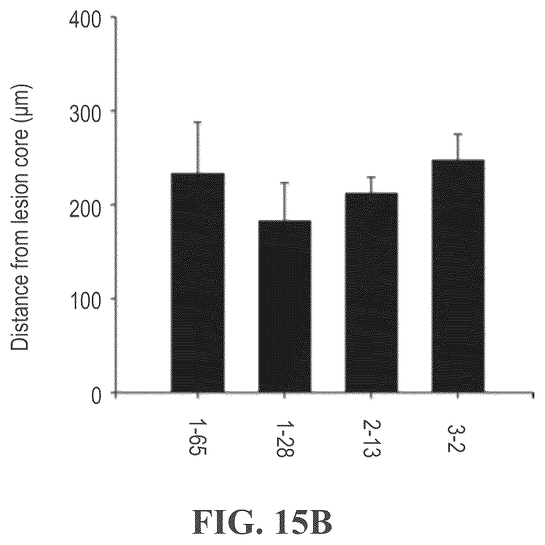 Patent US12492246 Figure 18 – Anti-FAM19A5 antibodies and uses thereof