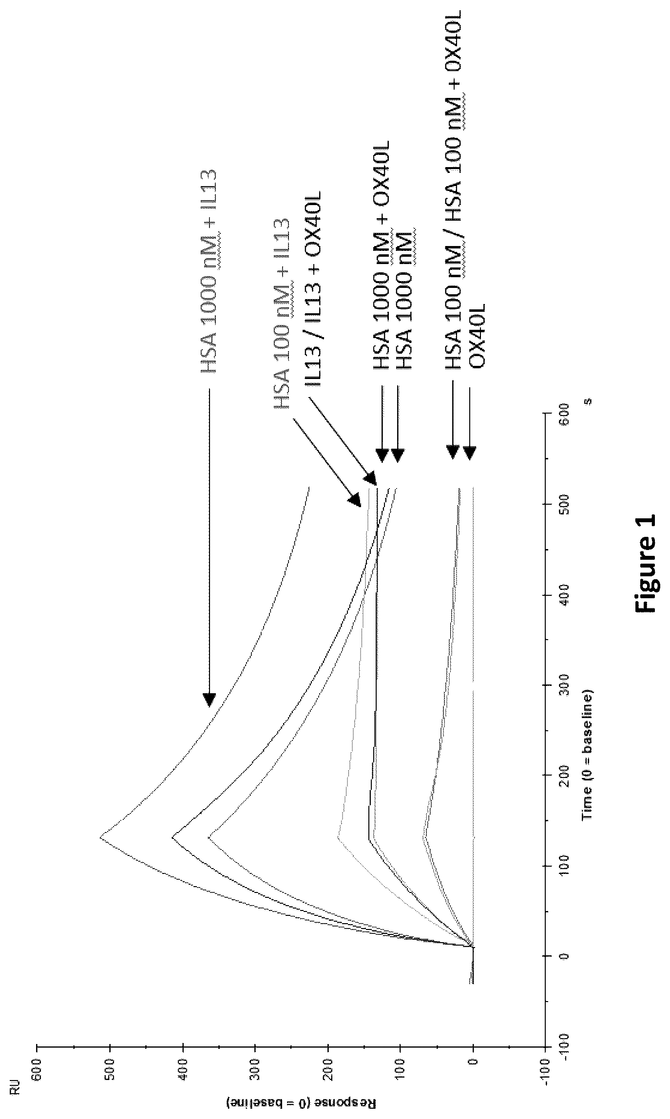 Patent US12492248 Figure 1 – Methods of treatment utilizing polypeptides comprising immunoglobulin single variable domains targeting IL-13 and TSLP