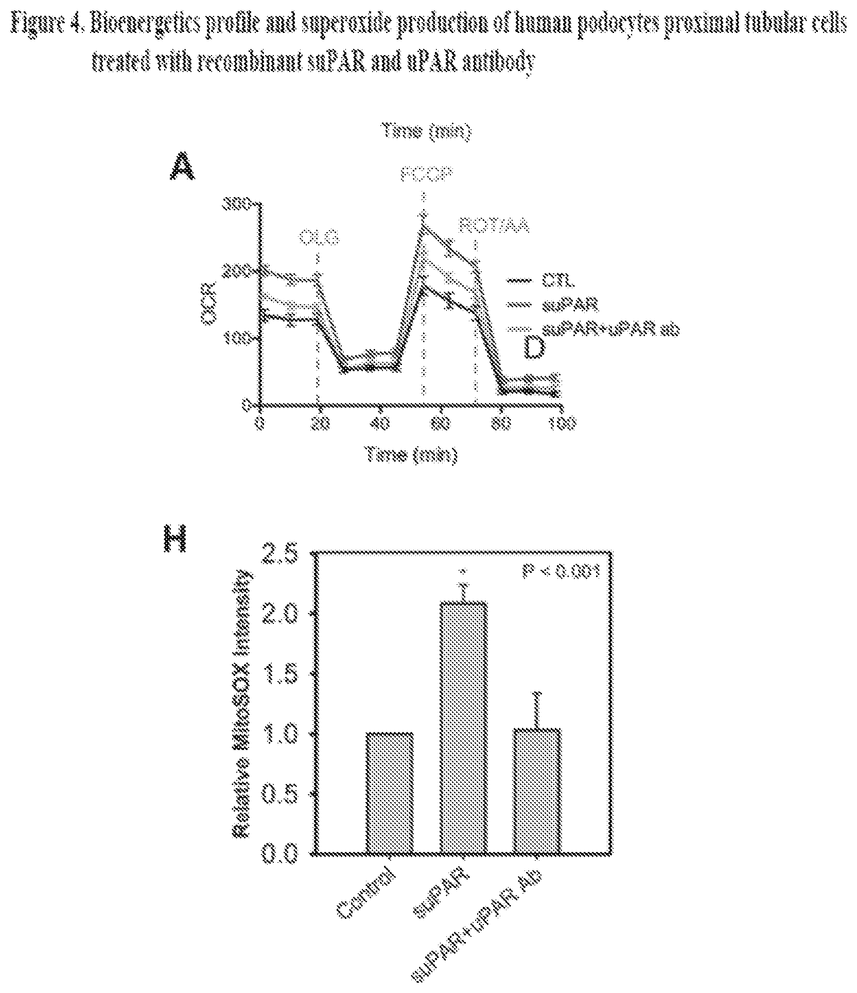 Patent US12492250 Figure 6 – suPAR and prediction and treatment of acute kidney injury