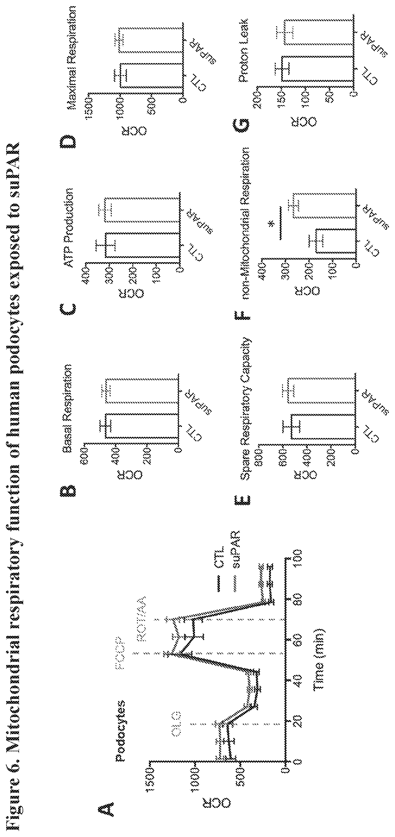 Patent US12492250 Figure 10 – suPAR and prediction and treatment of acute kidney injury