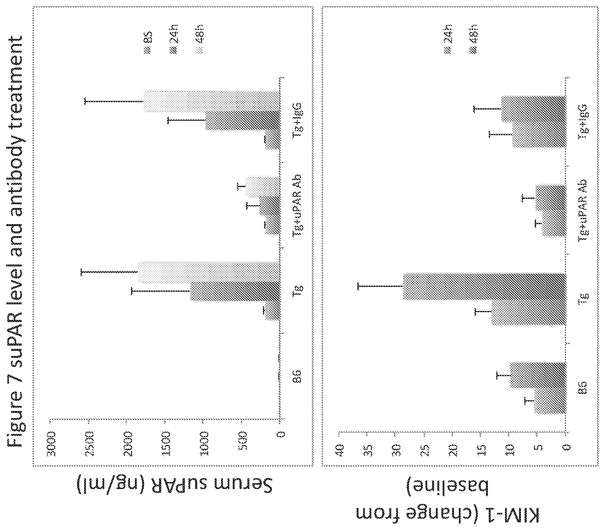 Patent US12492250 Figure 11 – suPAR and prediction and treatment of acute kidney injury