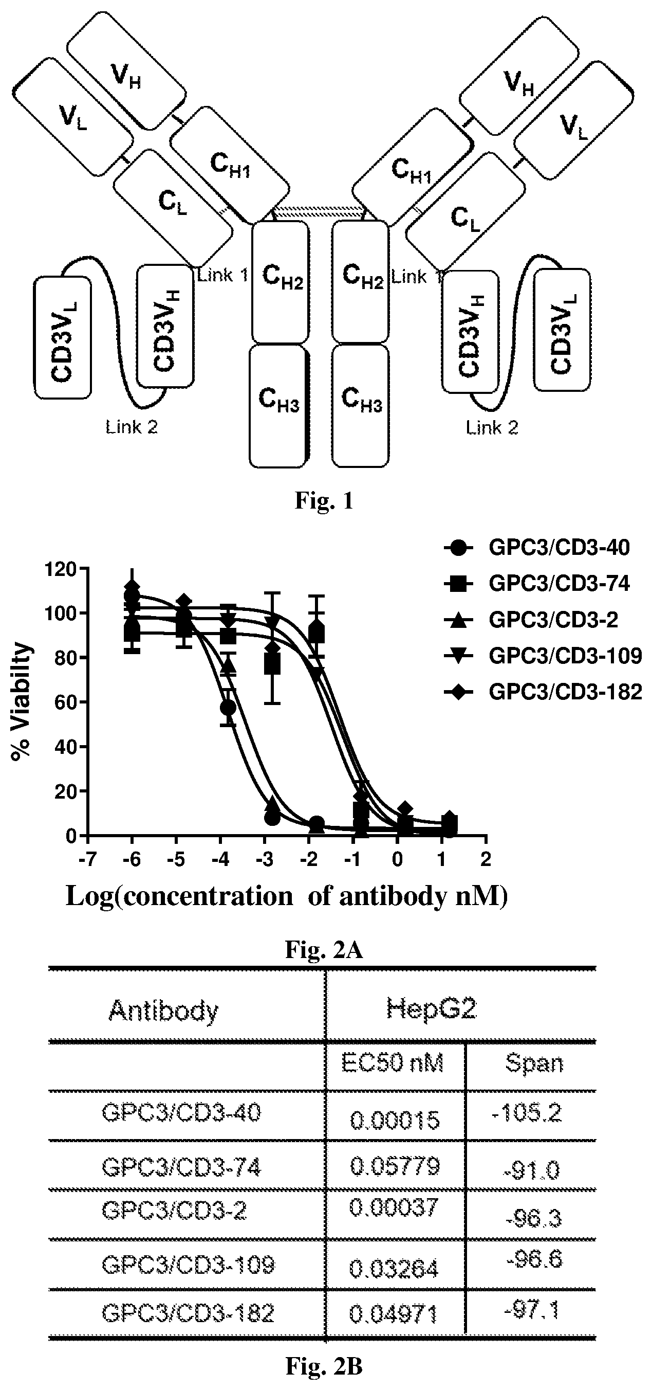 Patent US12492252 Figure 1 – Anti-GPC3 antibody, anti-GPC3 chimeric antigen receptor and GPC3/CD3 bispecific antibody