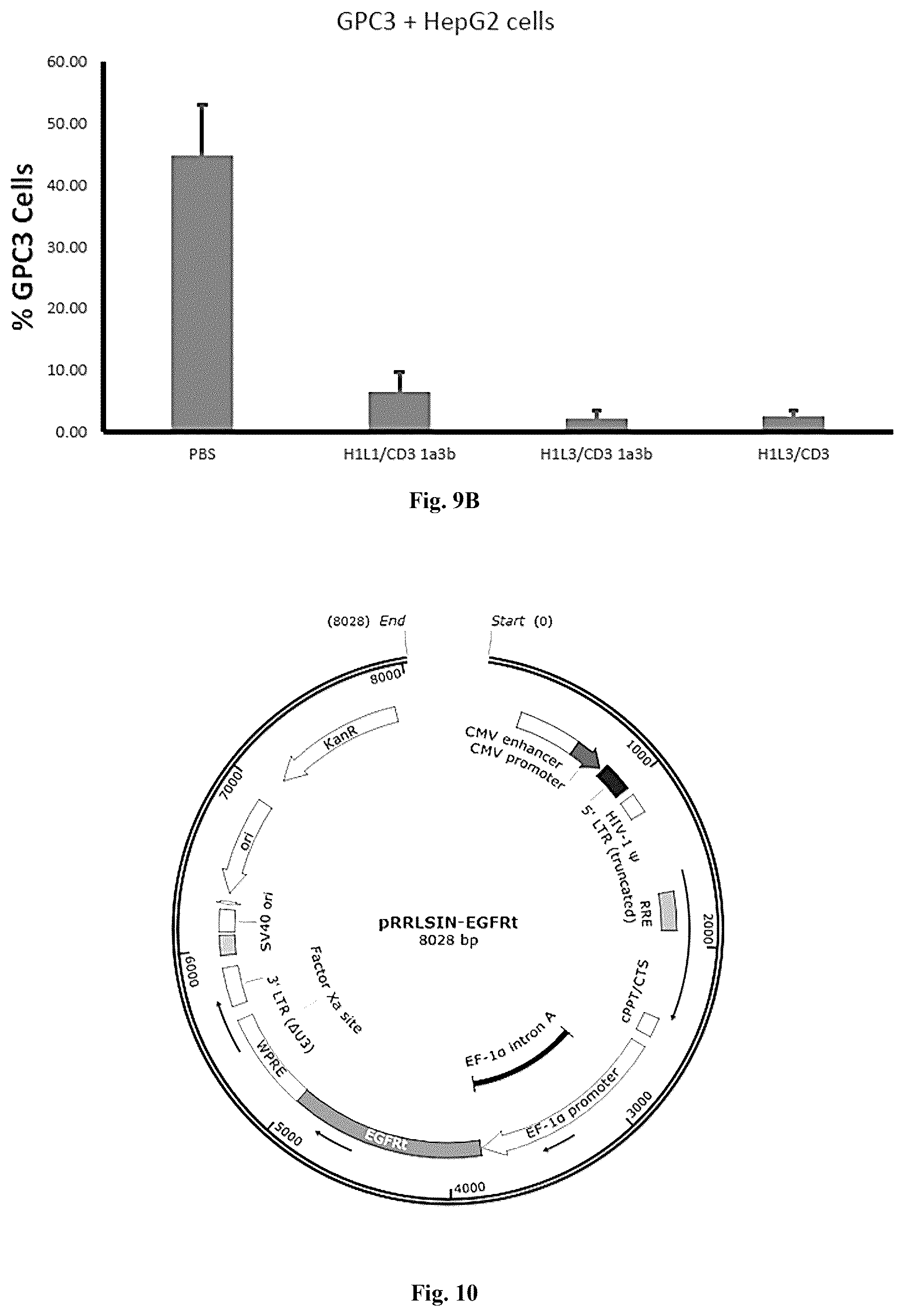 Patent US12492252 Figure 8 – Anti-GPC3 antibody, anti-GPC3 chimeric antigen receptor and GPC3/CD3 bispecific antibody