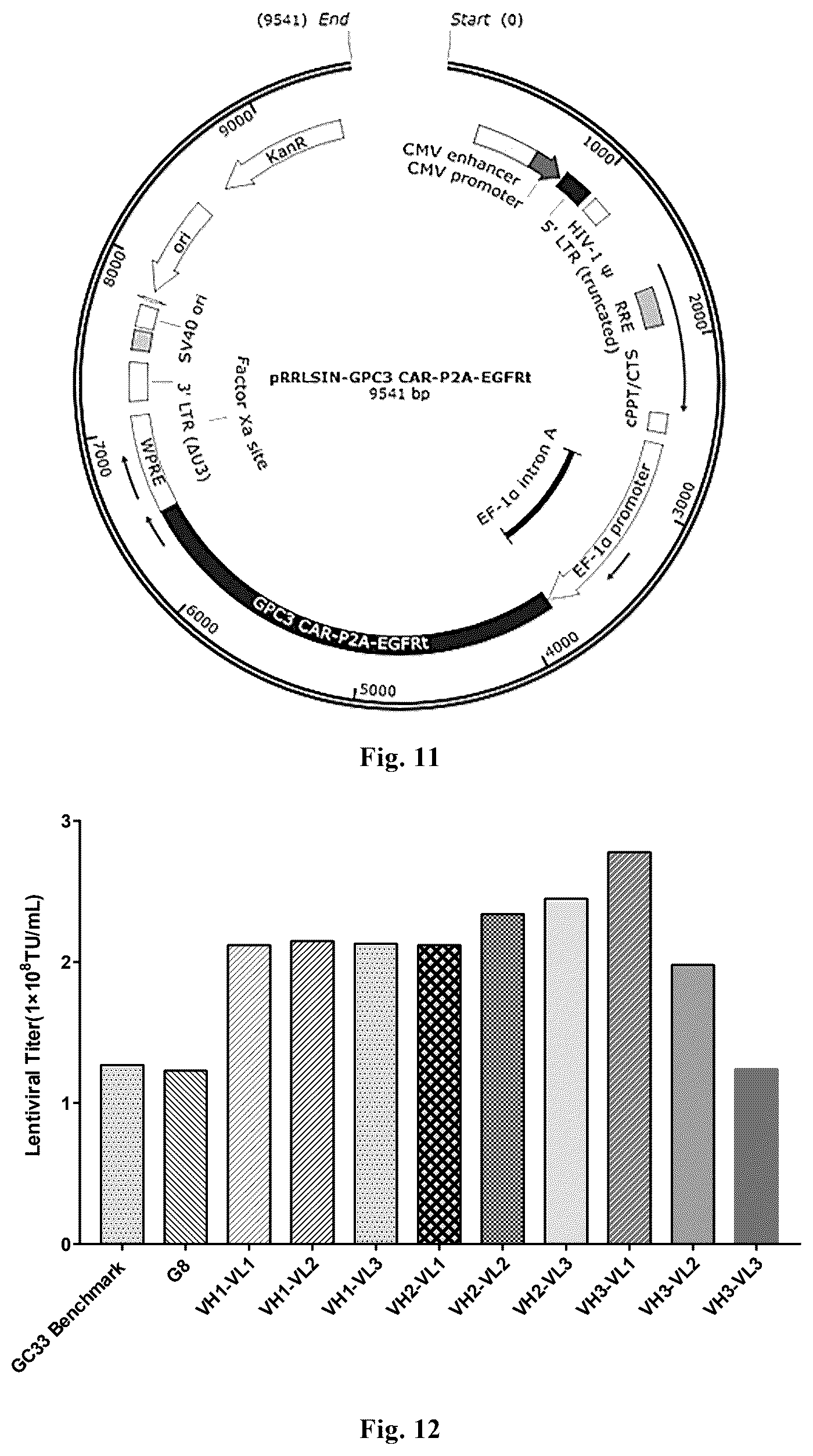 Patent US12492252 Figure 9 – Anti-GPC3 antibody, anti-GPC3 chimeric antigen receptor and GPC3/CD3 bispecific antibody