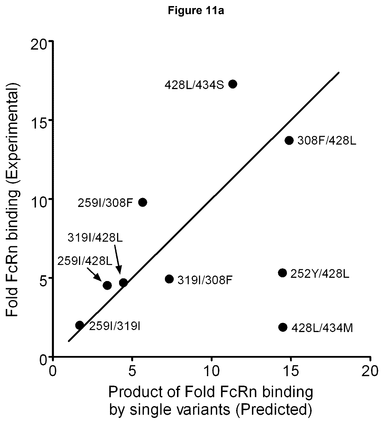 Patent US12492253 Figure 17 – Anti-human C5 antibodies