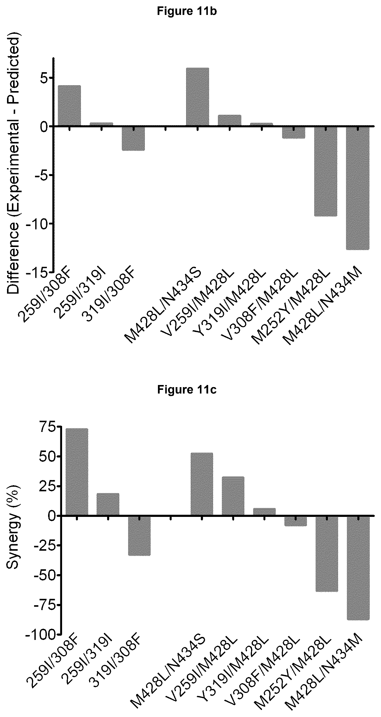 Patent US12492253 Figure 18 – Anti-human C5 antibodies