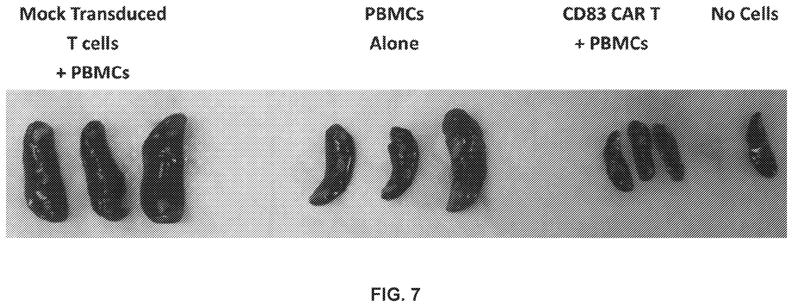Patent US12492254 Figure 13 – 