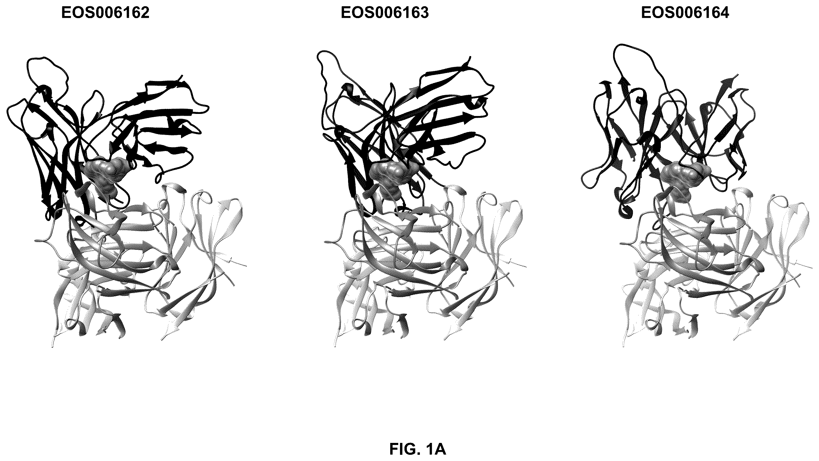 Patent US12492255 Figure 1 – Anti-TREM2 antibodies and methods of use