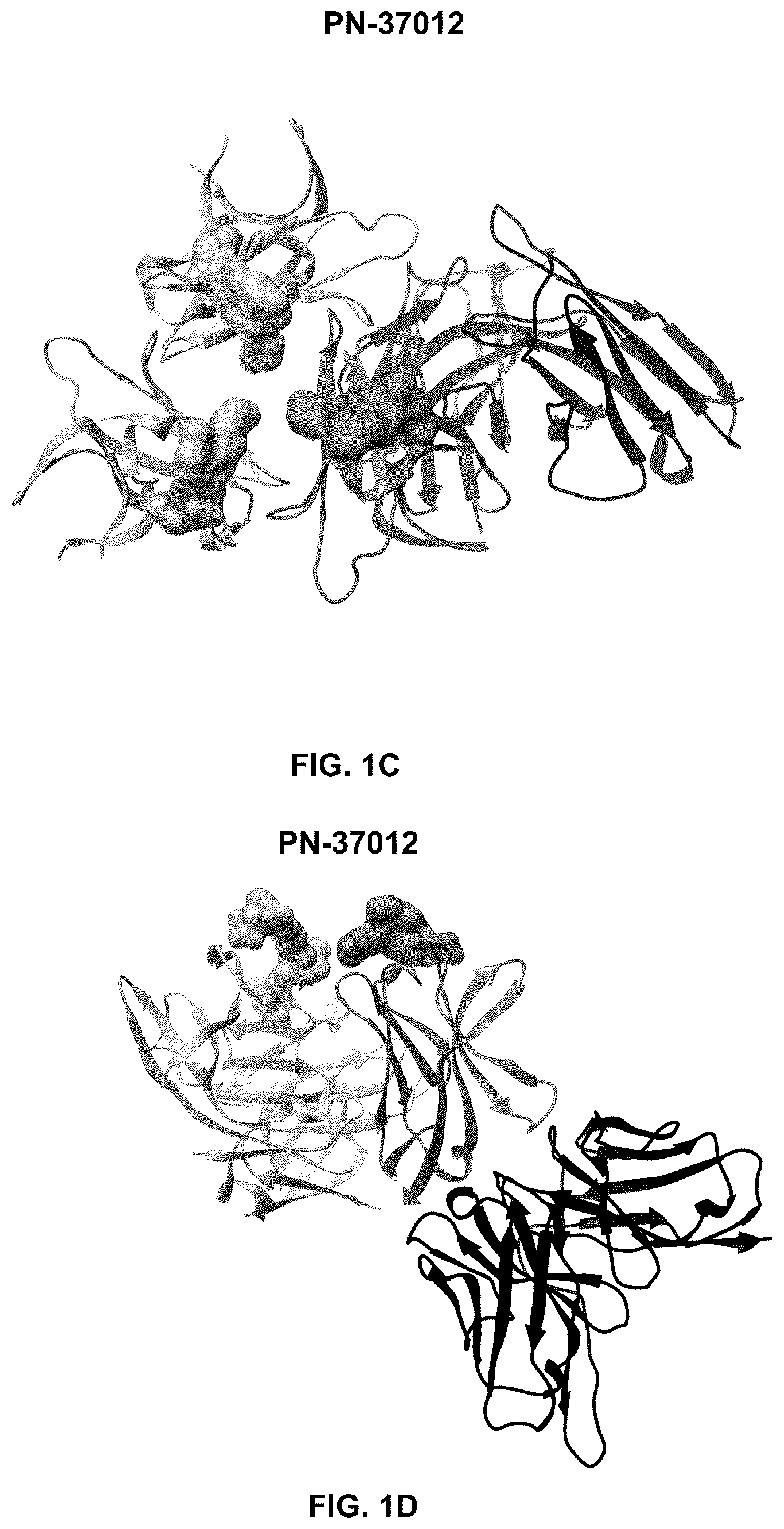 Patent US12492255 Figure 3 – Anti-TREM2 antibodies and methods of use