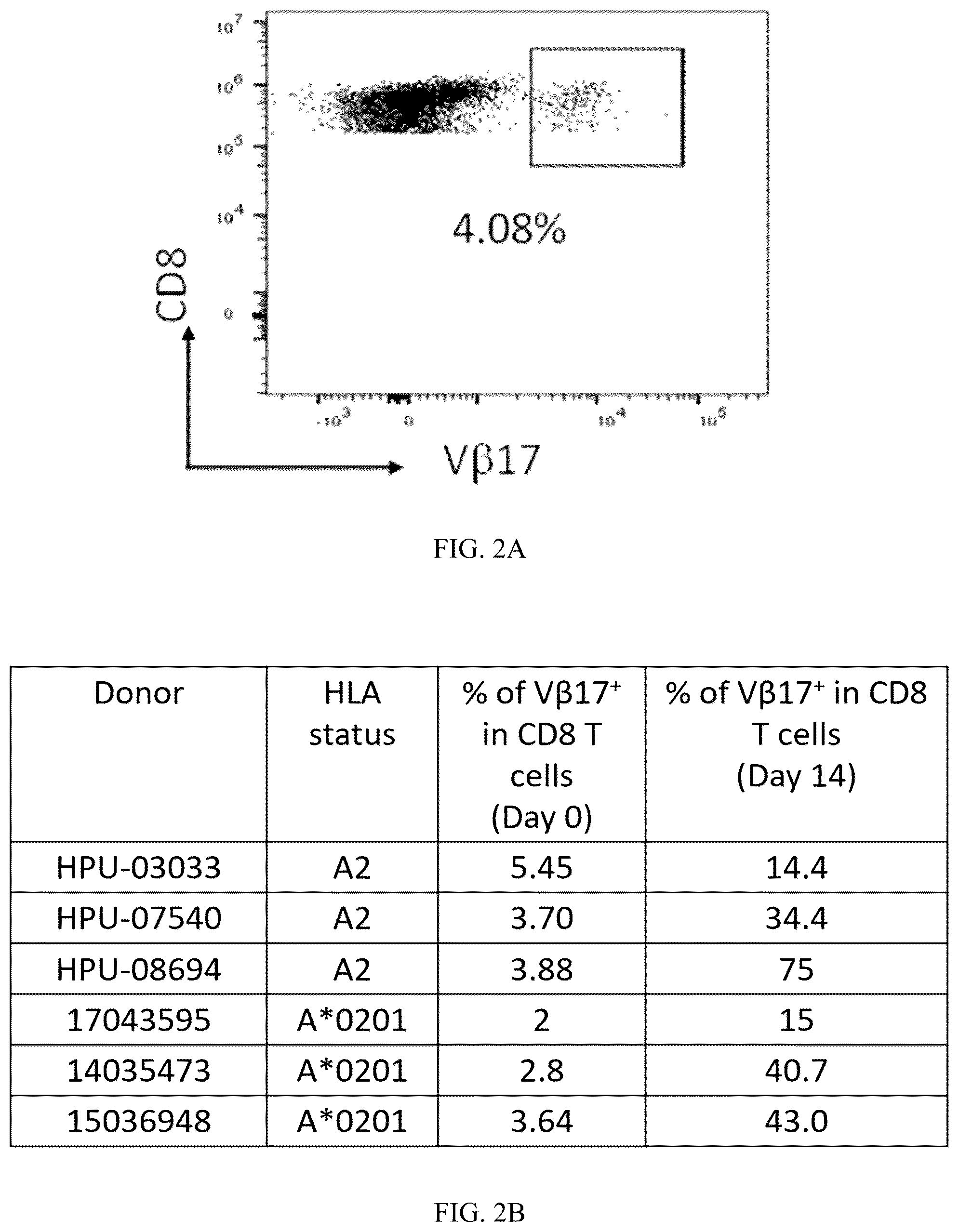 Patent US12492256 Figure 2 – Methods and compositions for modulating beta chain mediated immunity