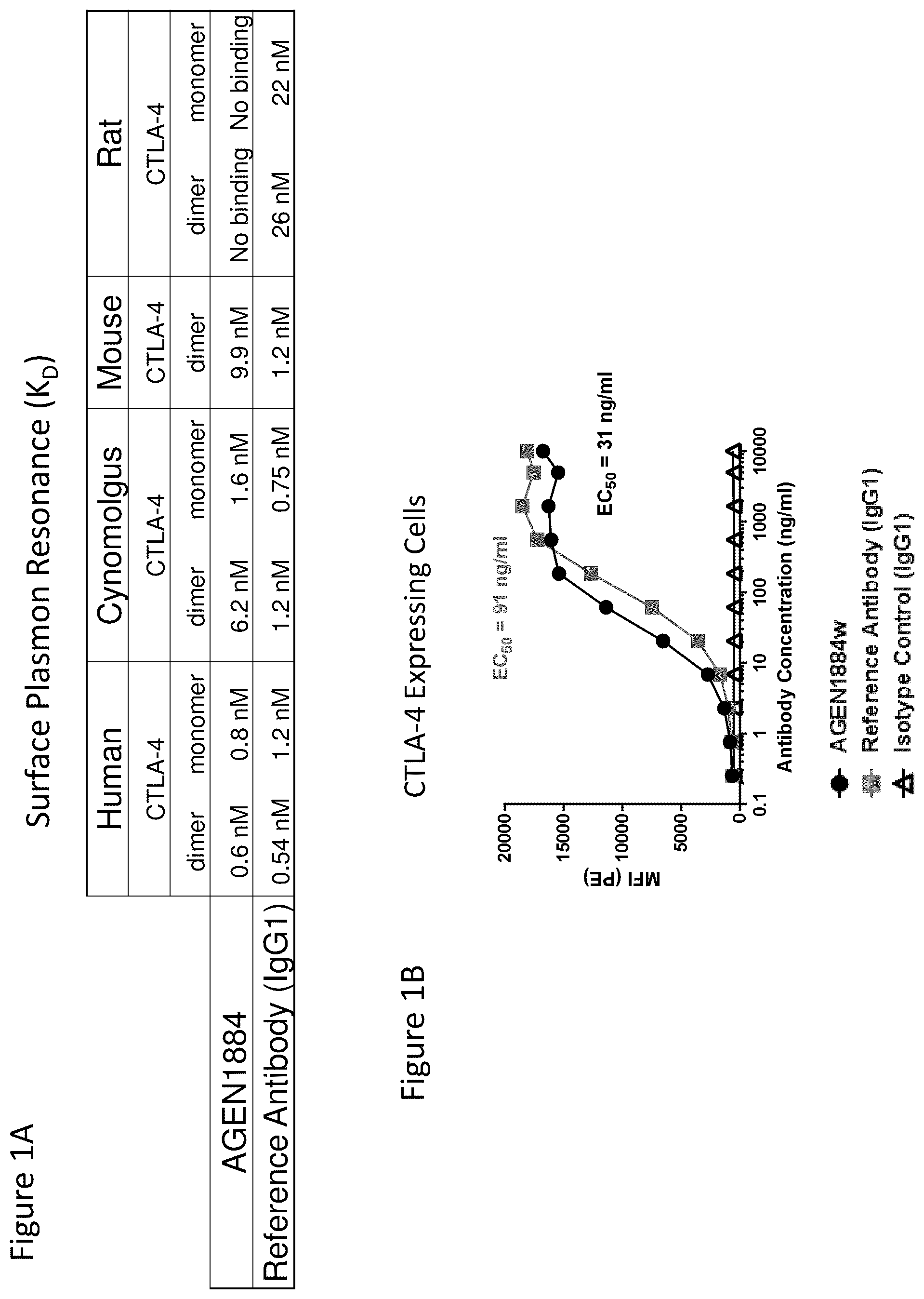 Patent US12492257 — Anti-CTLA-4 antibodies and methods of use thereof — Figure 1