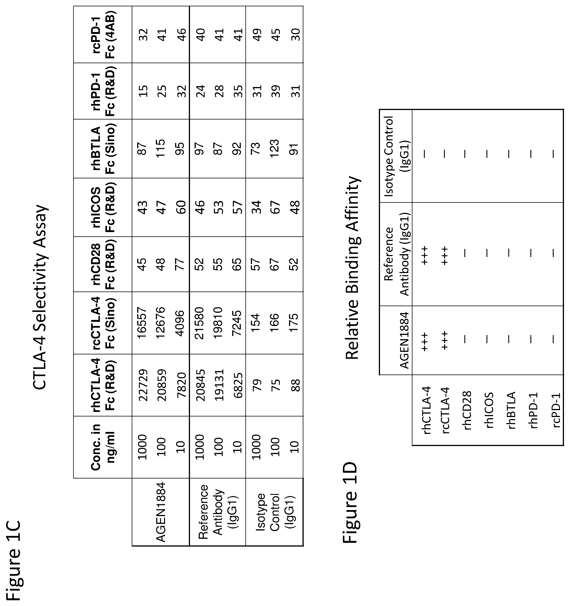 Patent US12492257 Figure 2 – Anti-CTLA-4 antibodies and methods of use thereof