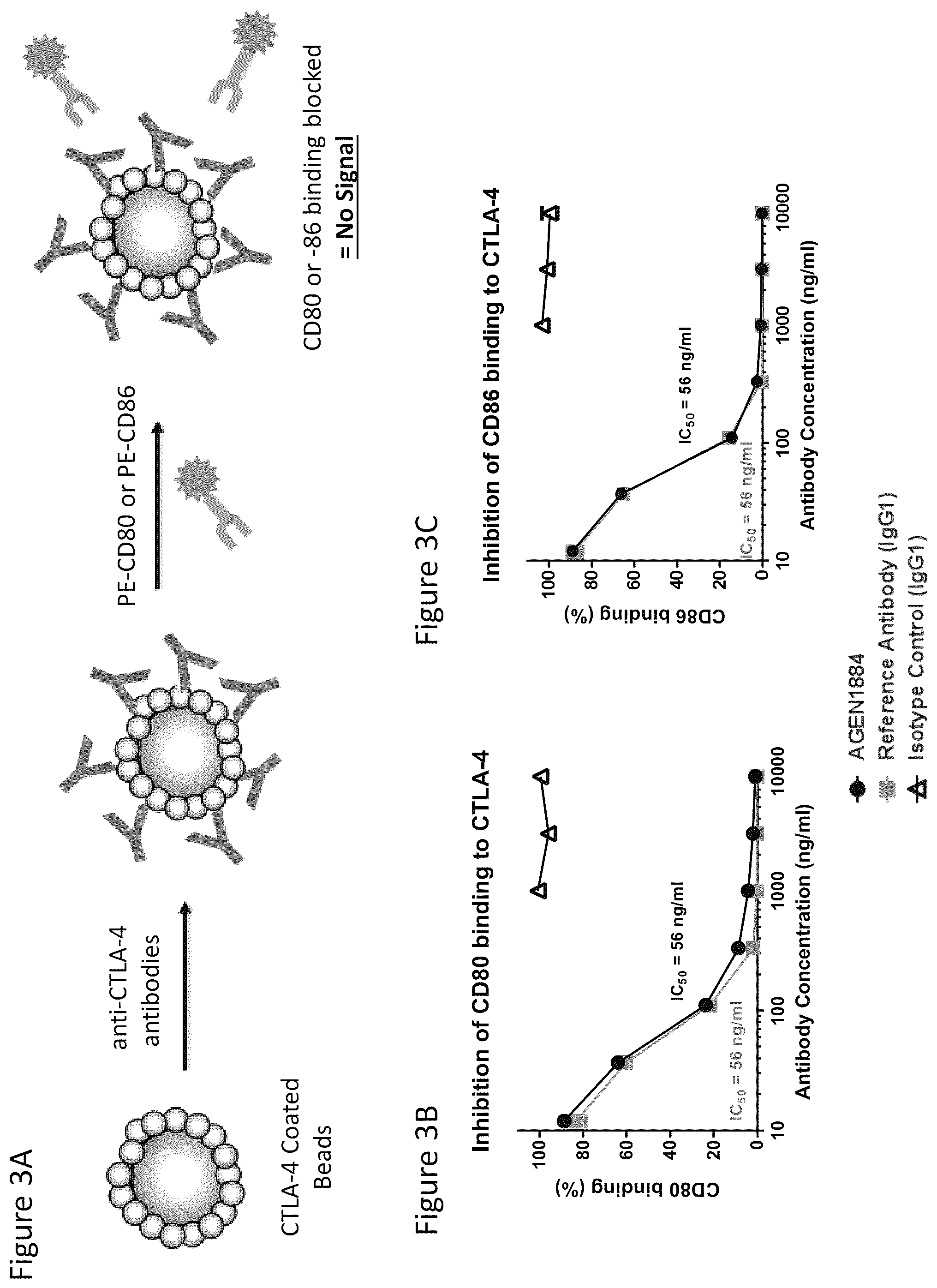 Patent US12492257 Figure 5 – Anti-CTLA-4 antibodies and methods of use thereof