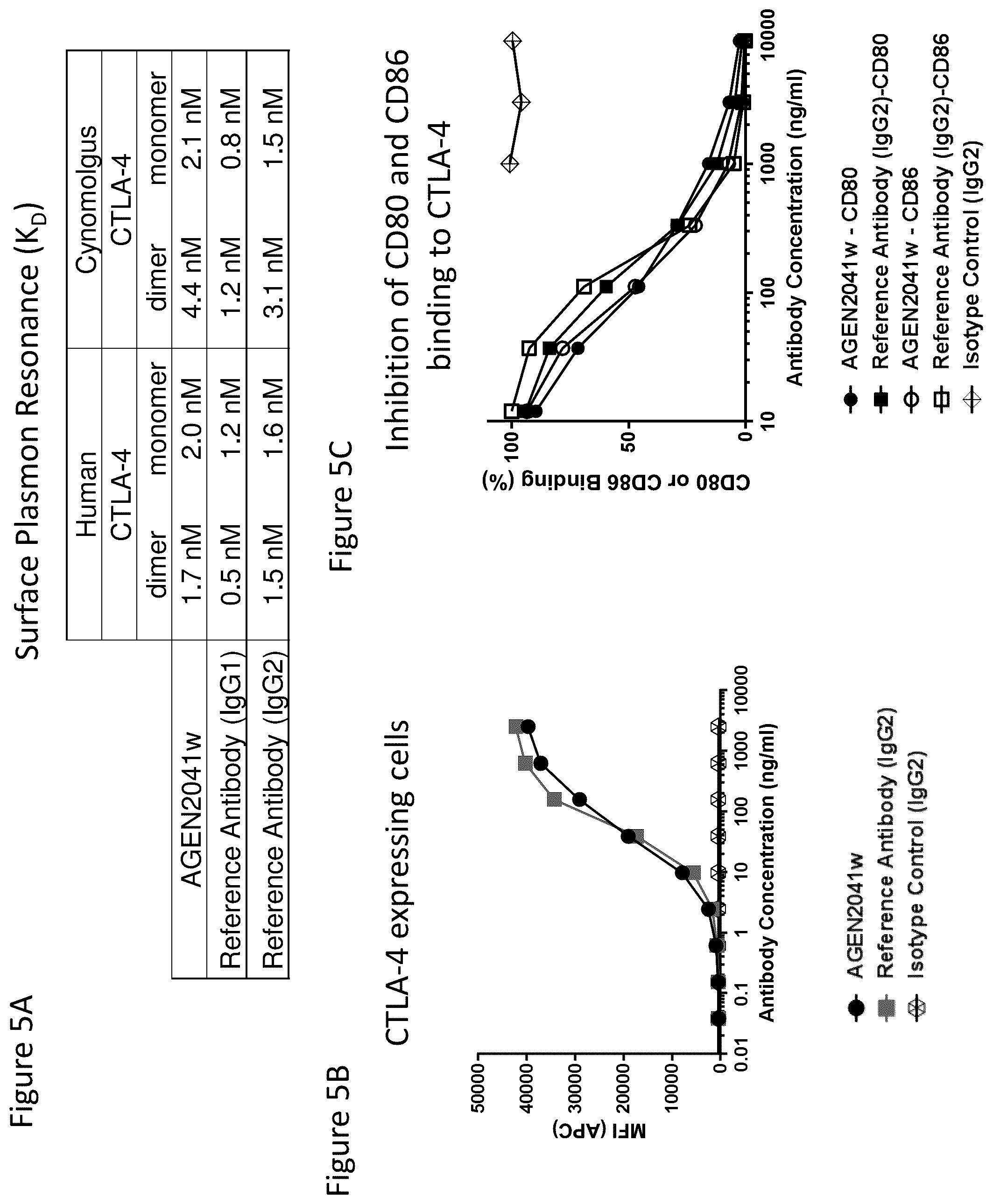 Patent US12492257 Figure 11 – Anti-CTLA-4 antibodies and methods of use thereof