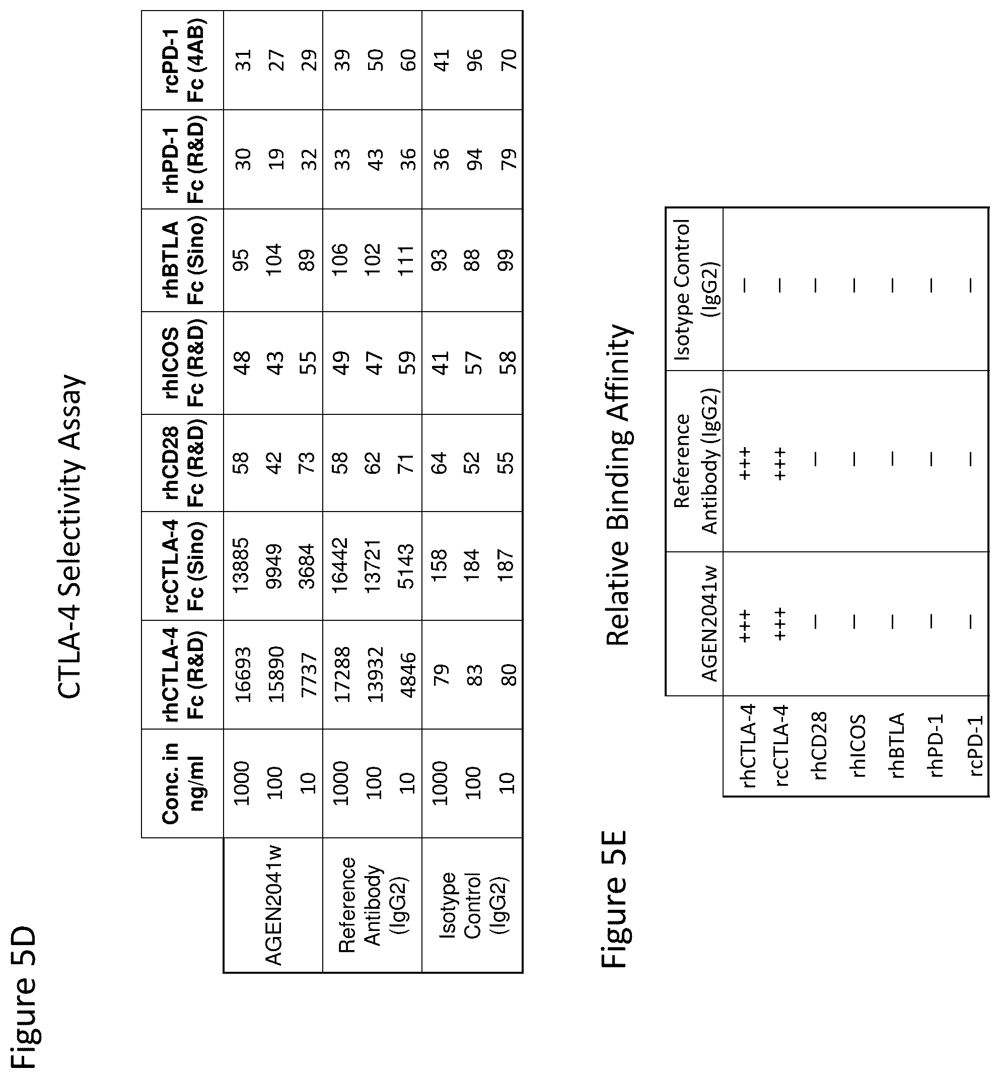 Patent US12492257 Figure 12 – Anti-CTLA-4 antibodies and methods of use thereof