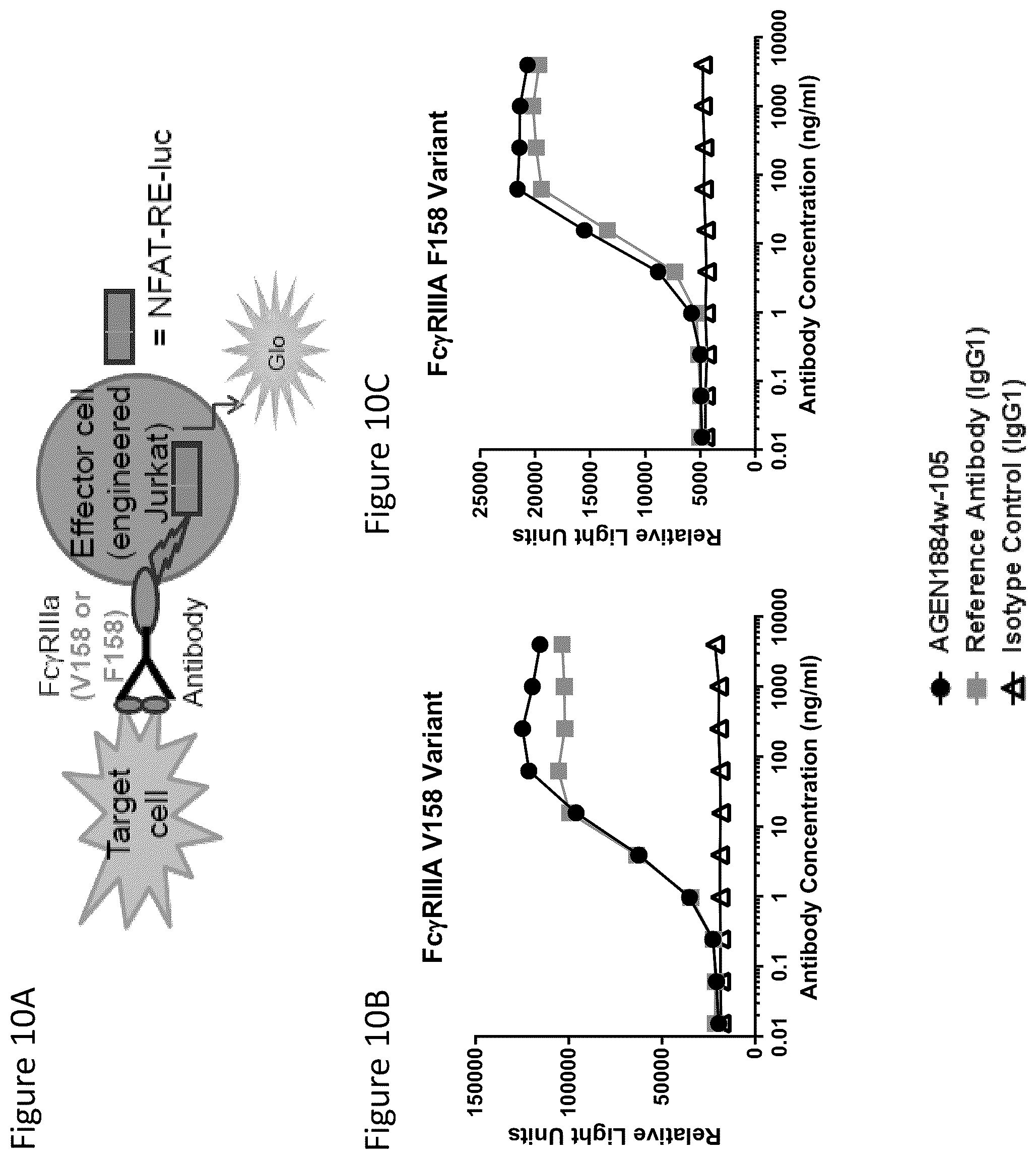 Patent US12492257 Figure 19 – Anti-CTLA-4 antibodies and methods of use thereof