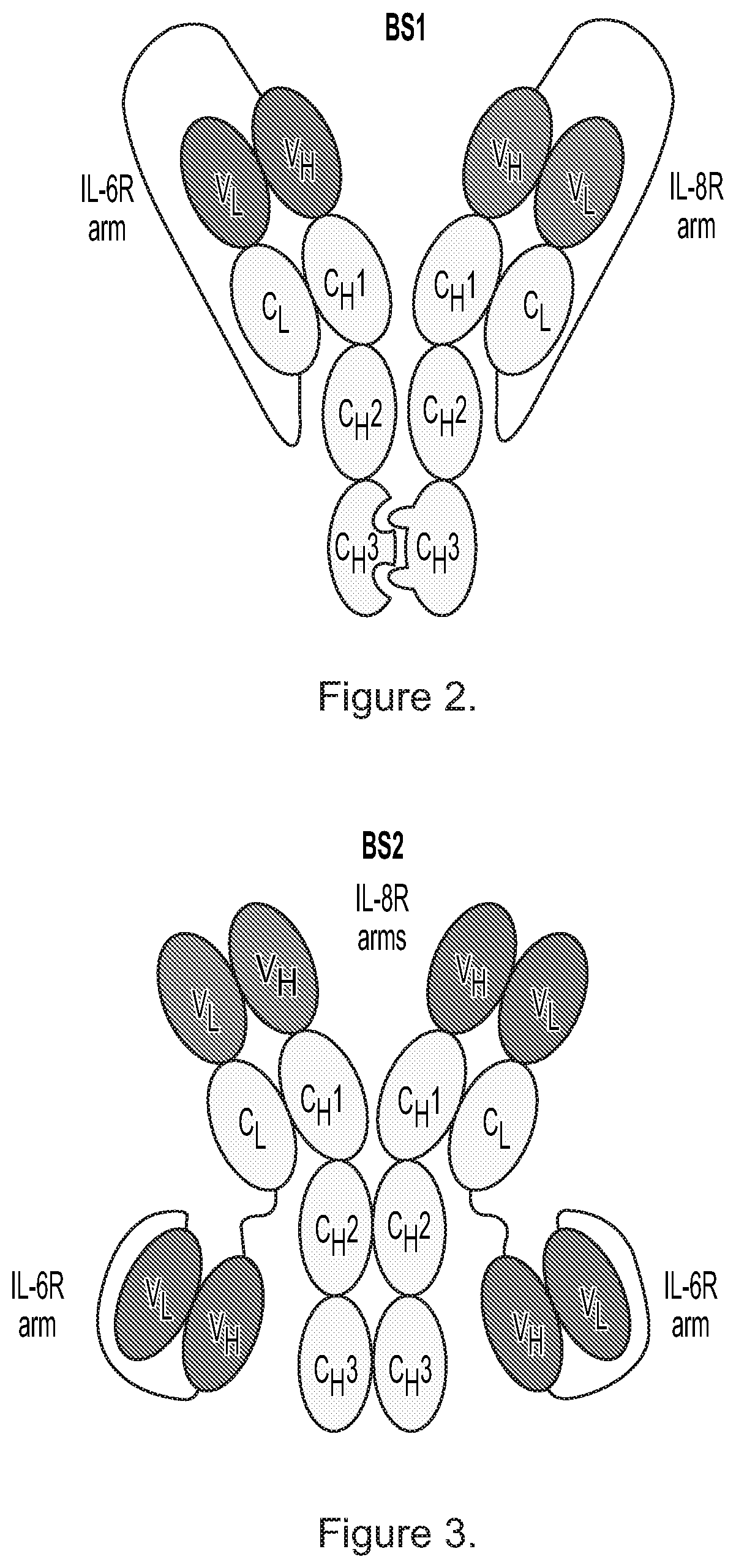 Patent US12492258 Figure 2 – Bispecific binding agents