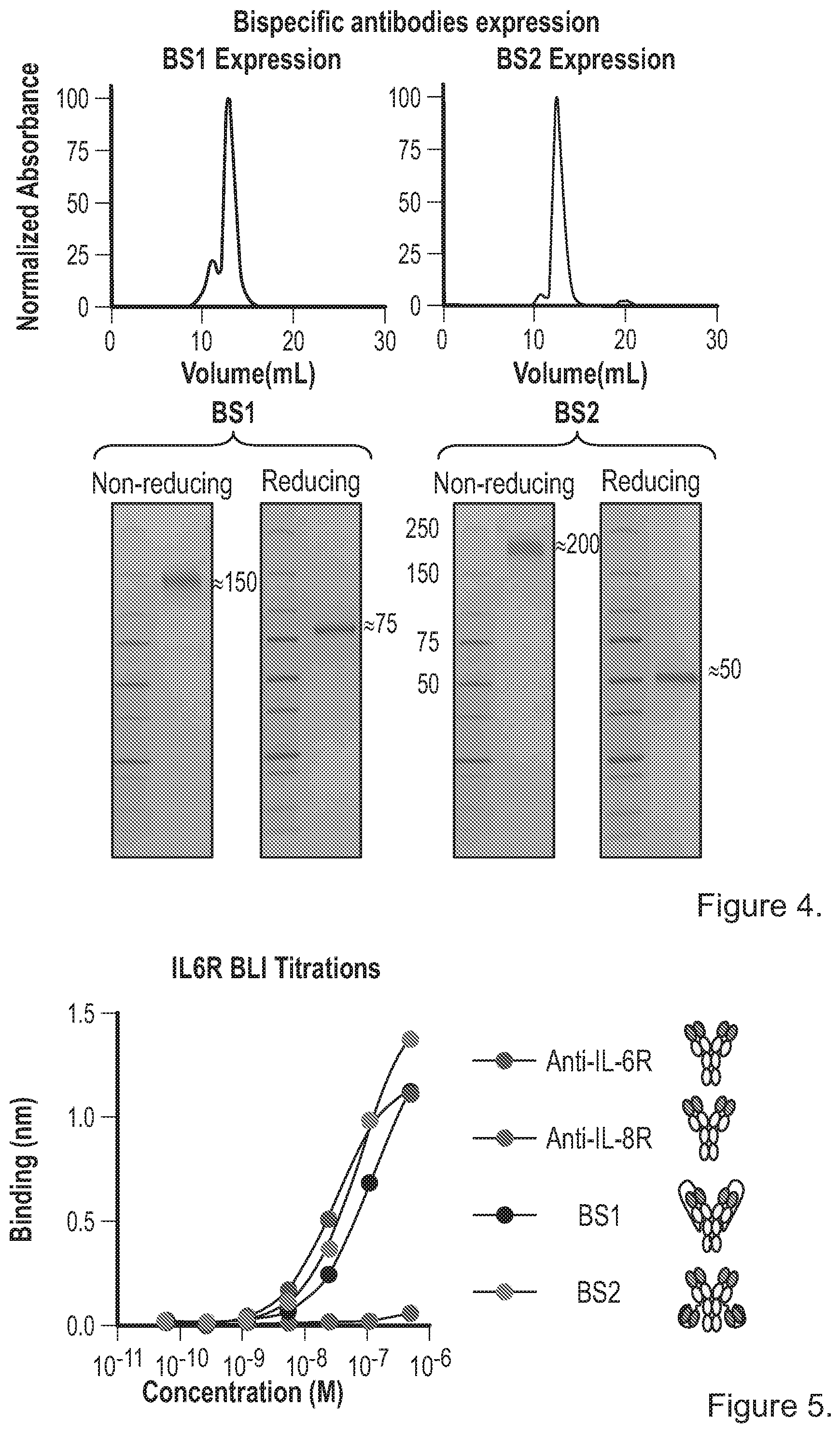 Patent US12492258 Figure 3 – Bispecific binding agents