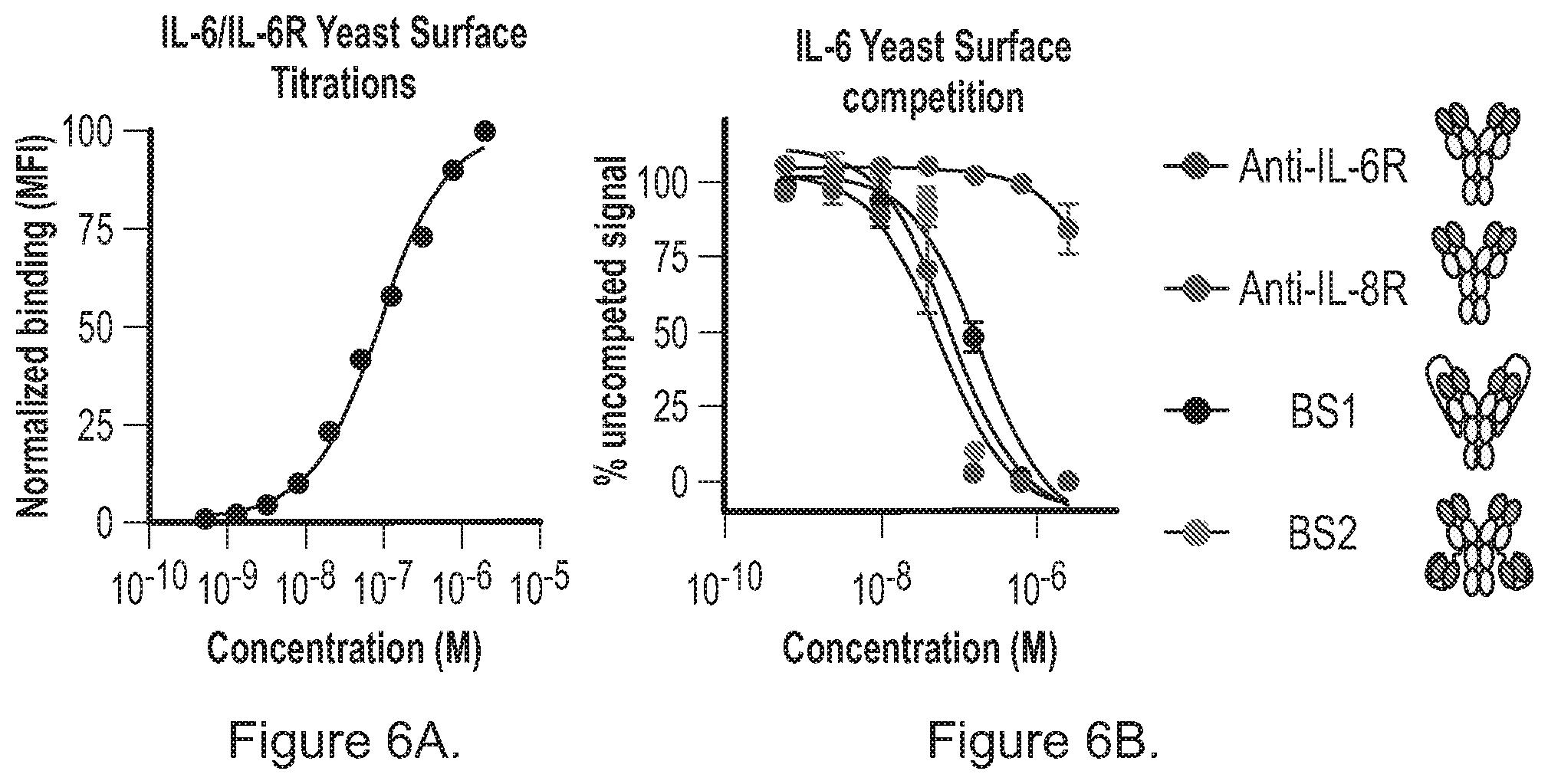 Patent US12492258 Figure 4 – Bispecific binding agents