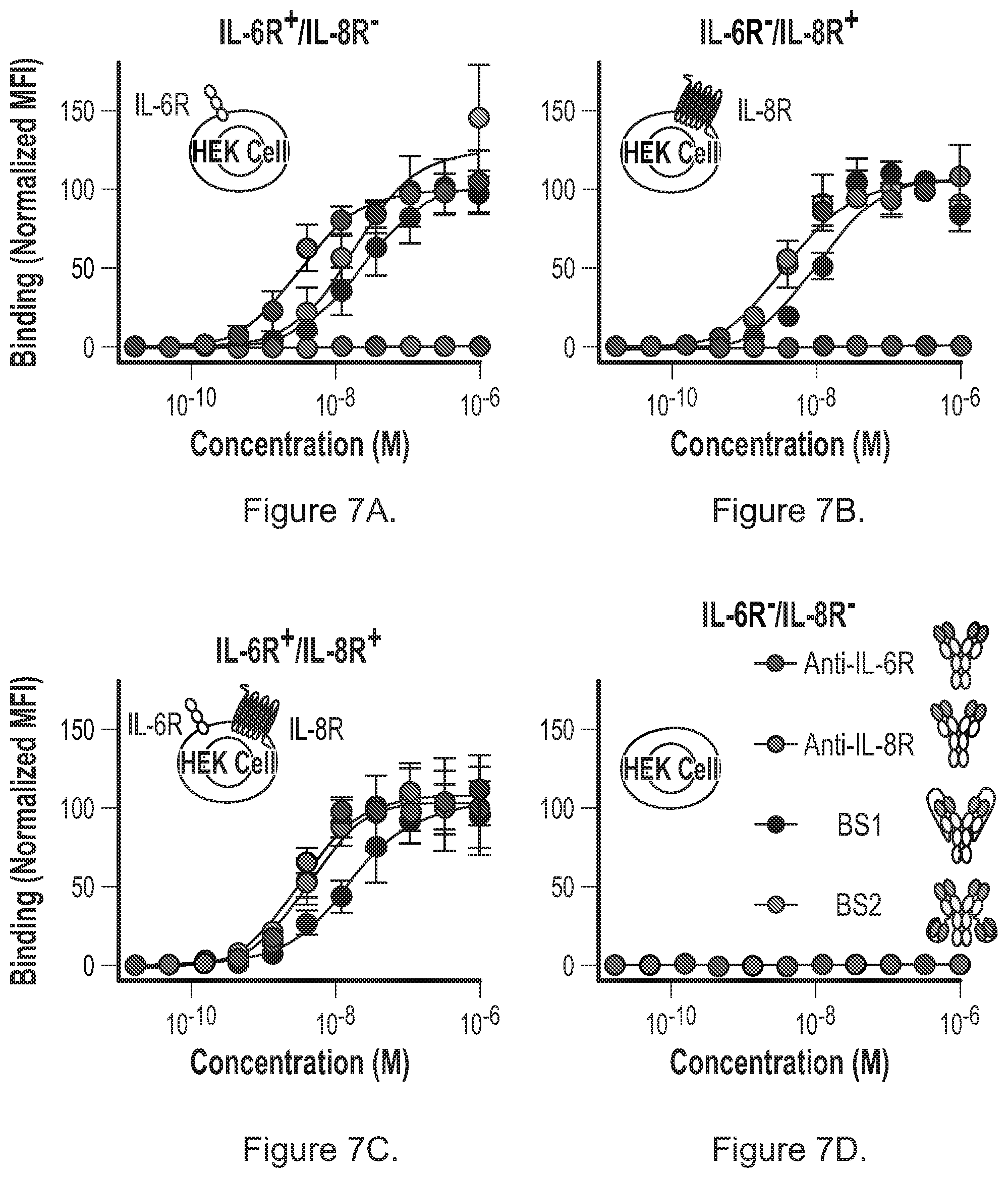 Patent US12492258 Figure 5 – Bispecific binding agents