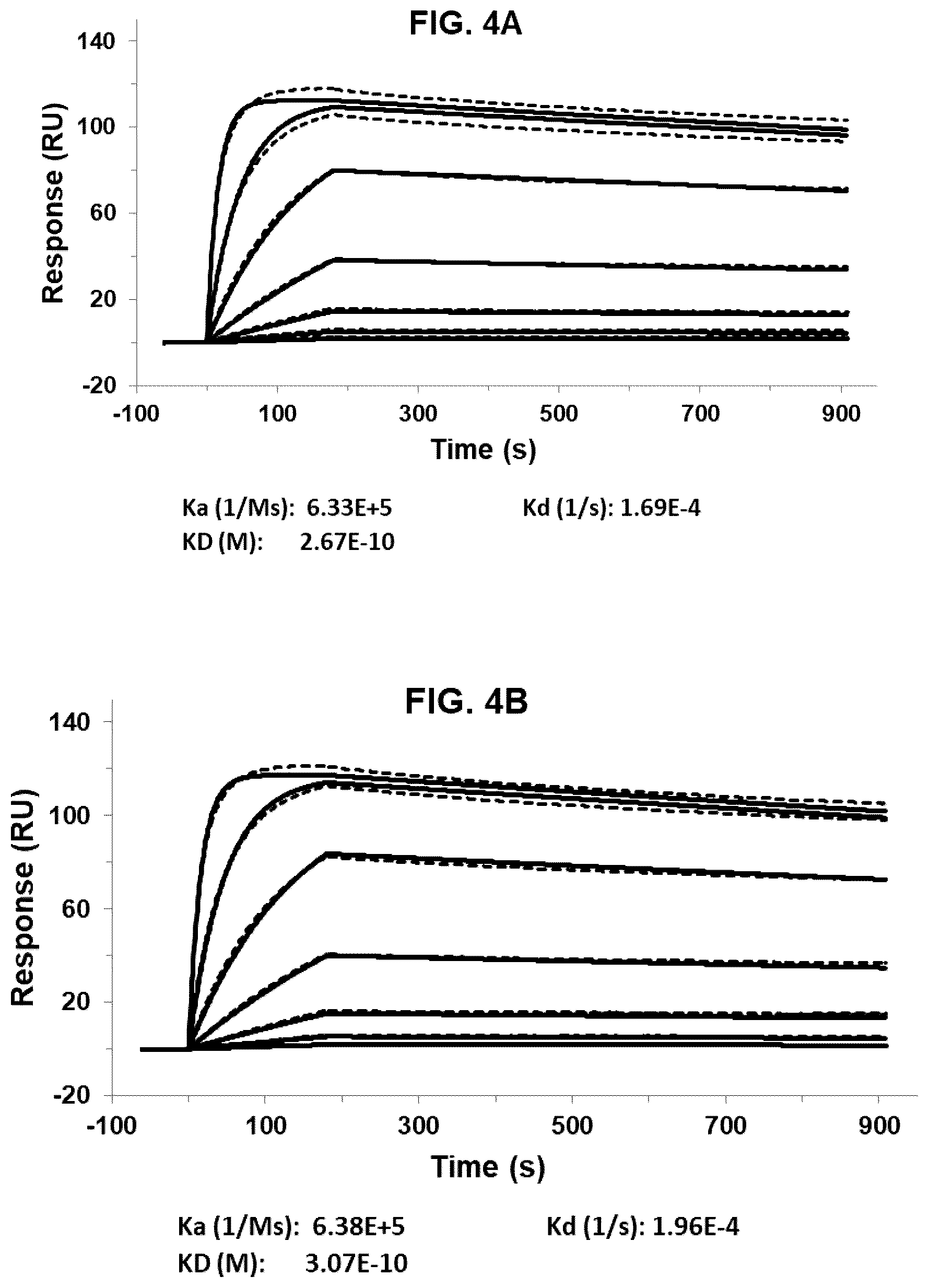 Patent US12492259 Figure 4 – Antibodies that bind to IL1RAP and uses thereof