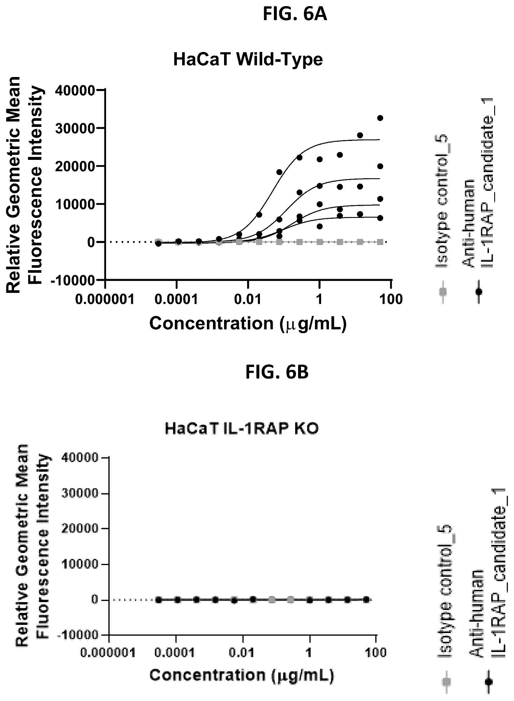 Patent US12492260 Figure 6 – Antibodies that bind to IL1RAP and uses thereof
