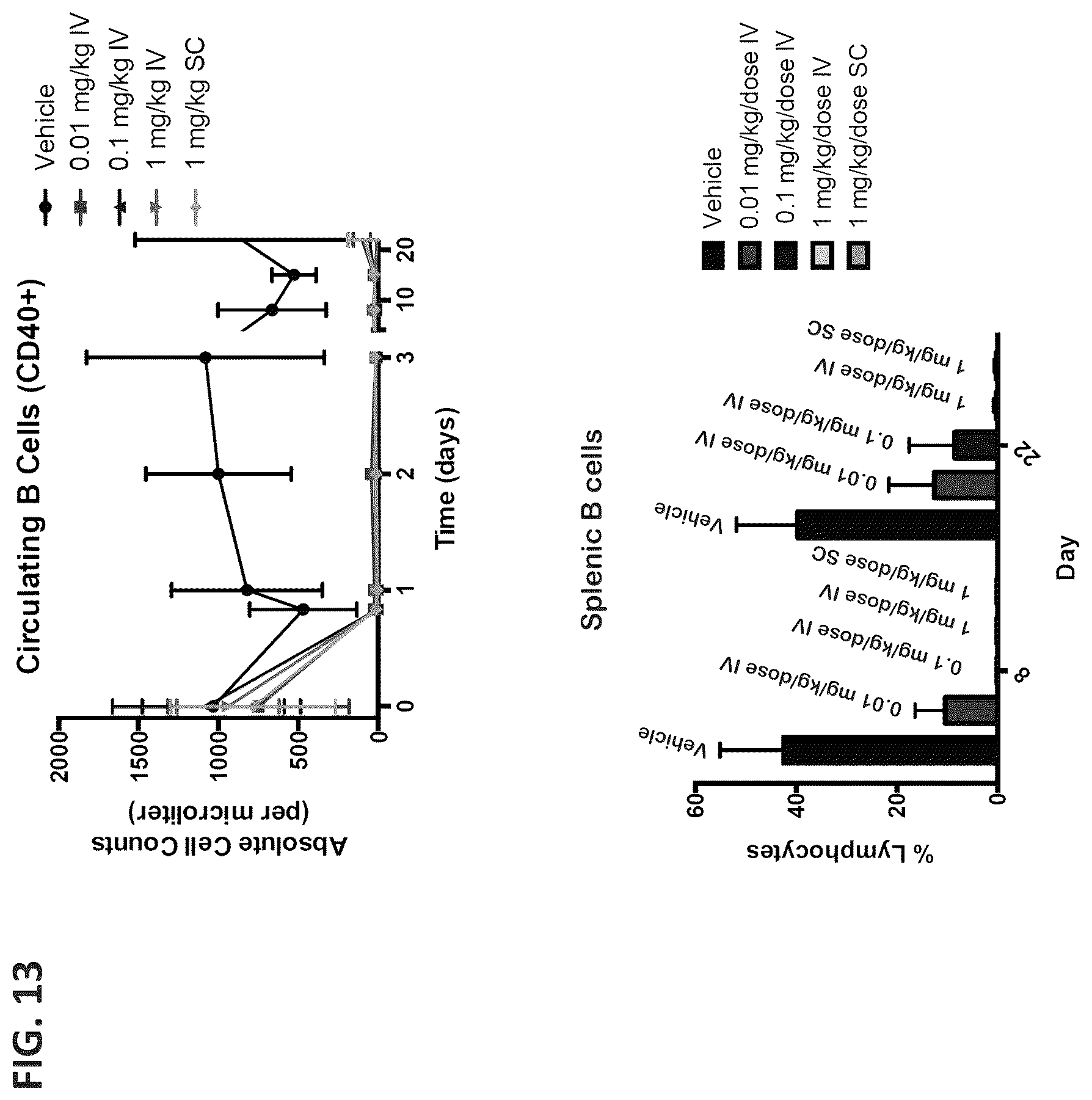 Patent US12492261 Figure 13 – Subcutaneous dosing of anti-CD20/anti-CD3 bispecific antibodies