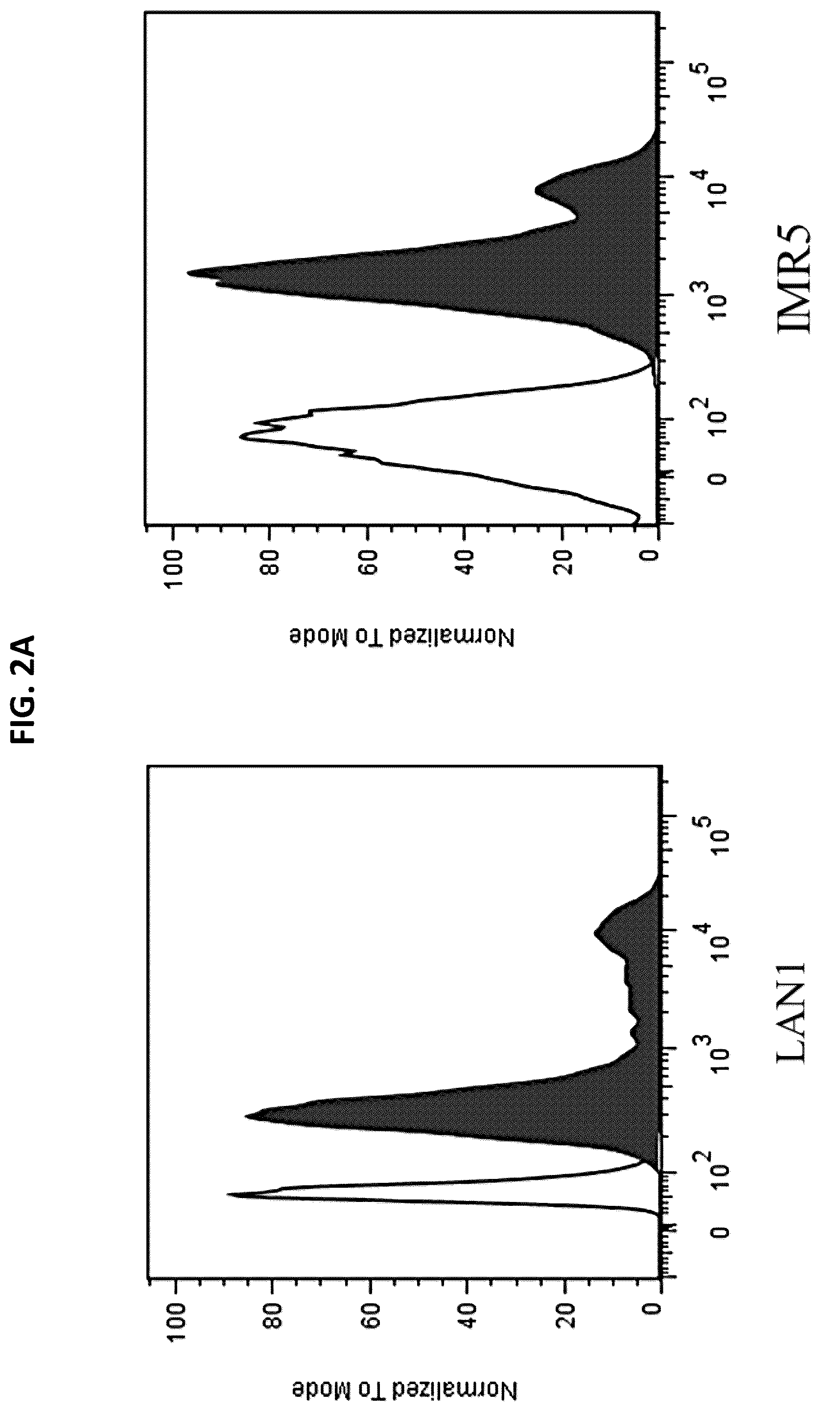 Patent US12492262 Figure 3 – High affinity monoclonal antibodies targeting glypican-2 and uses thereof