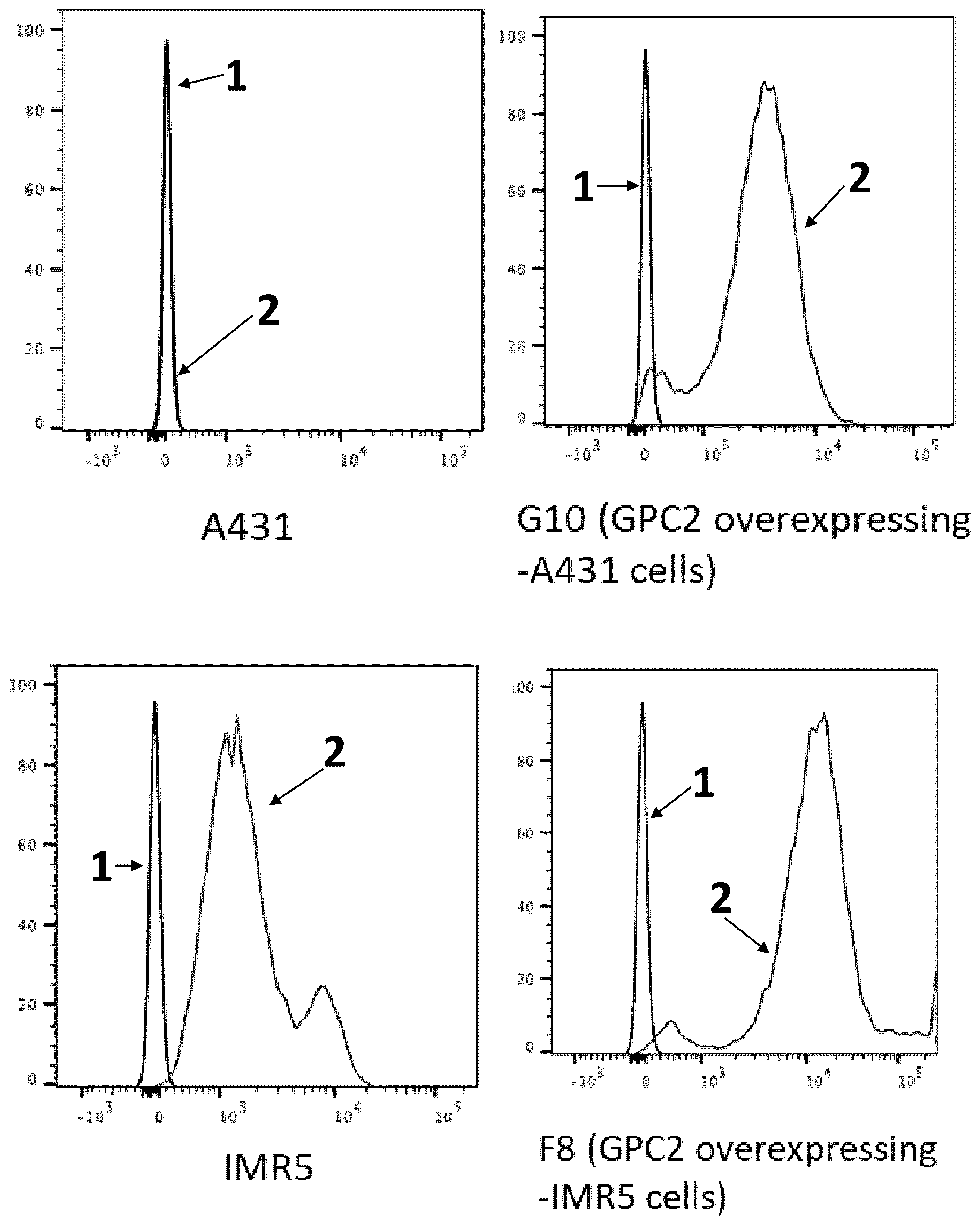 Patent US12492262 Figure 4 – High affinity monoclonal antibodies targeting glypican-2 and uses thereof