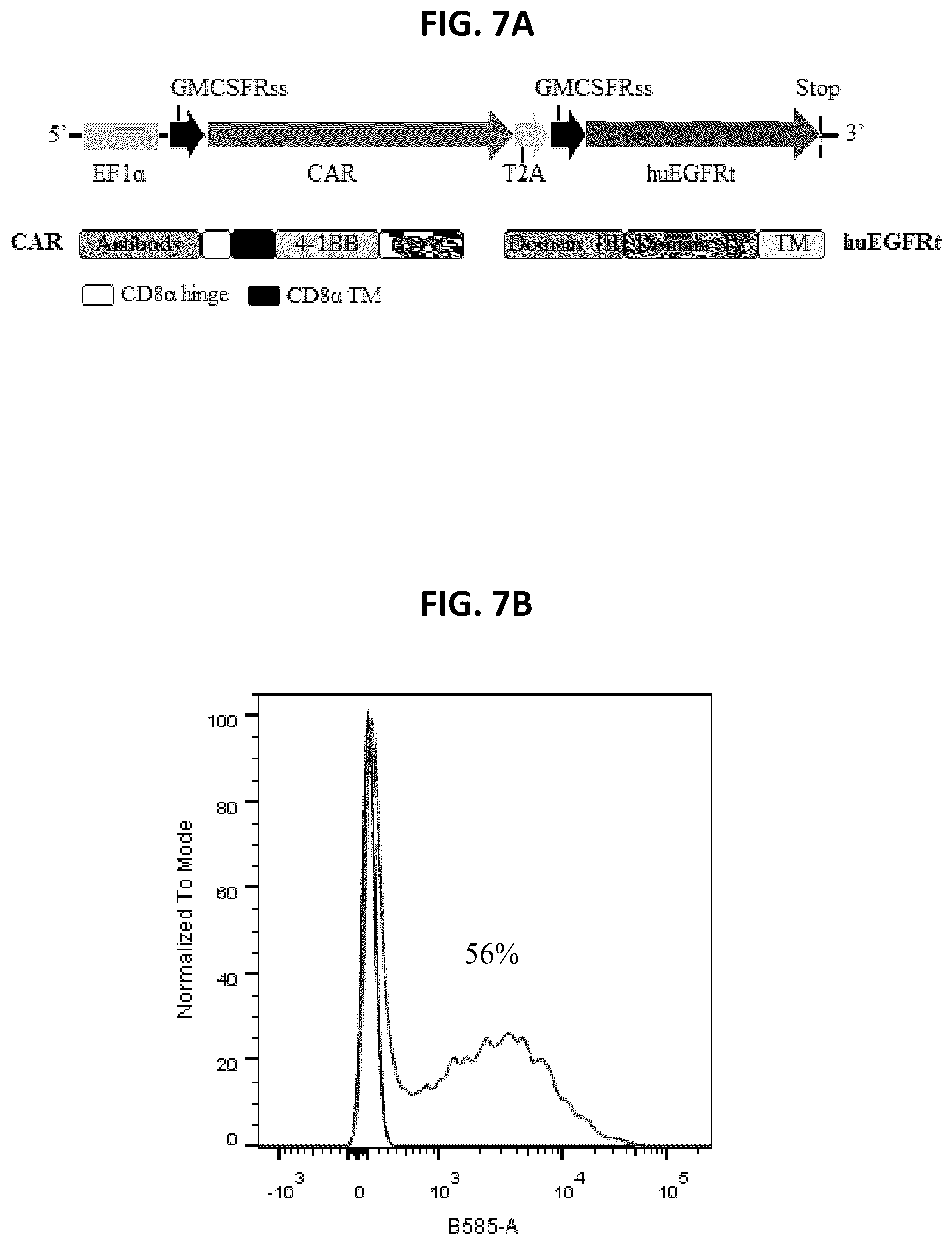 Patent US12492262 Figure 8 – High affinity monoclonal antibodies targeting glypican-2 and uses thereof