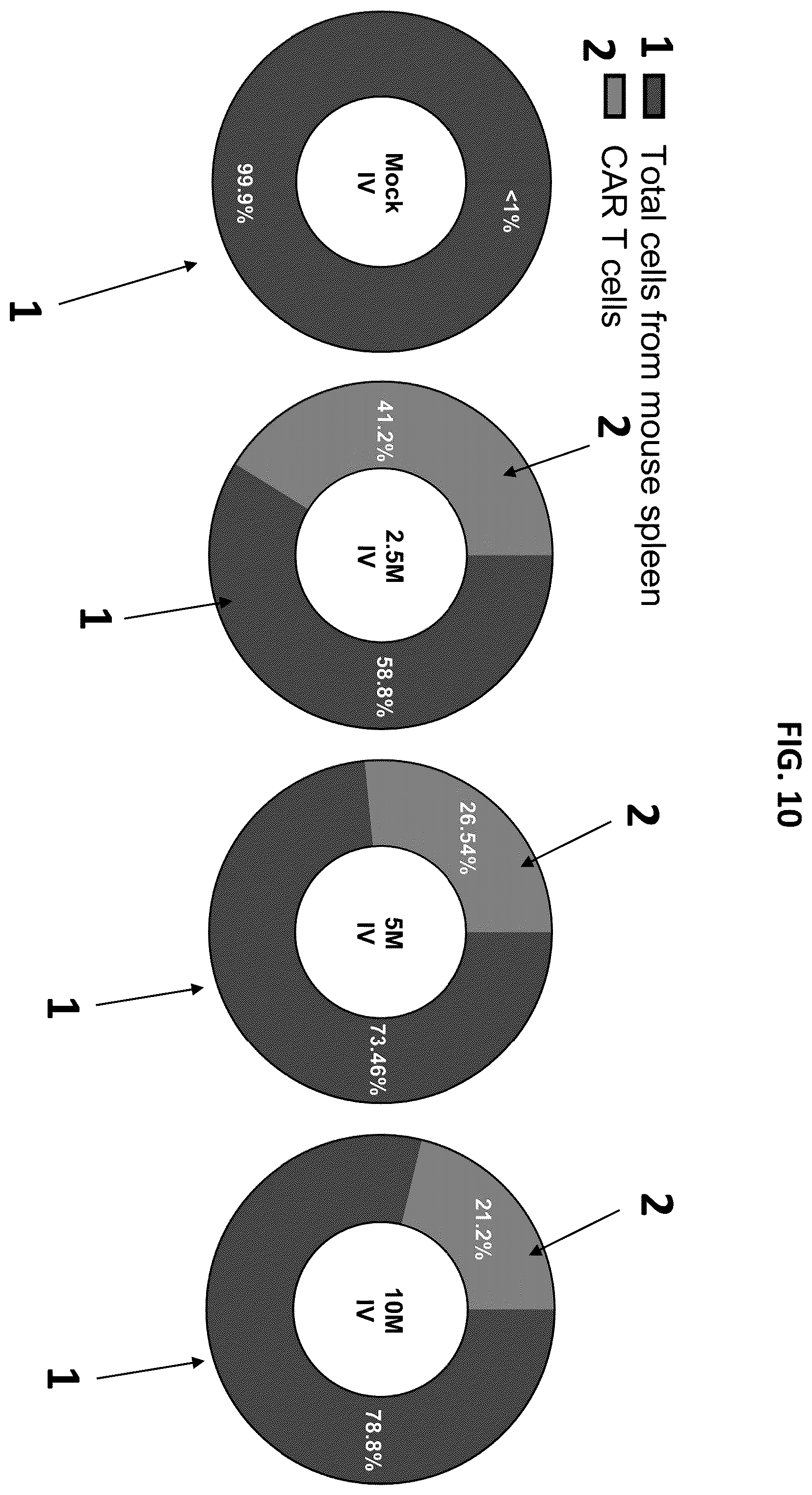 Patent US12492262 Figure 14 – High affinity monoclonal antibodies targeting glypican-2 and uses thereof