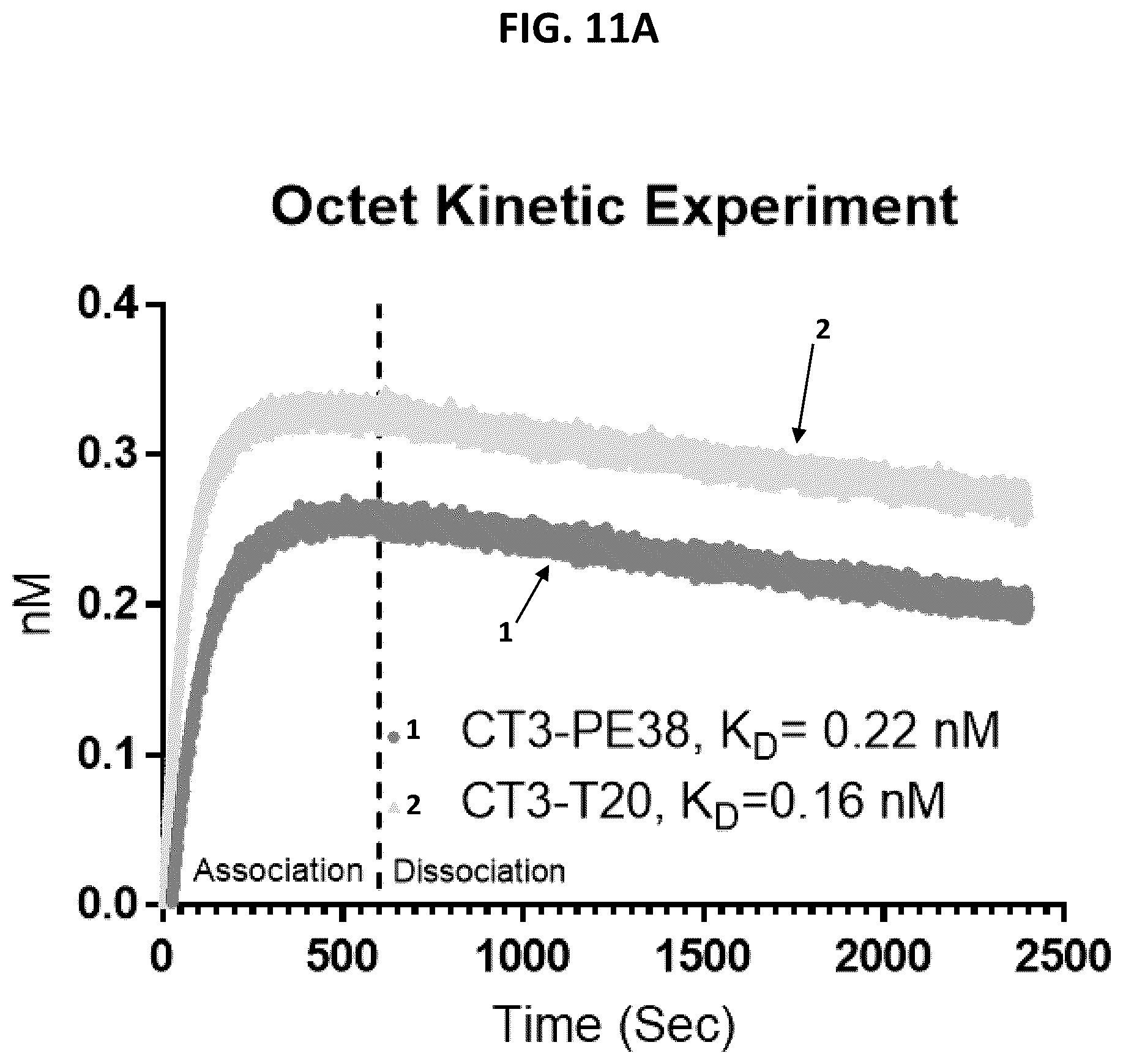 Patent US12492262 Figure 15 – High affinity monoclonal antibodies targeting glypican-2 and uses thereof
