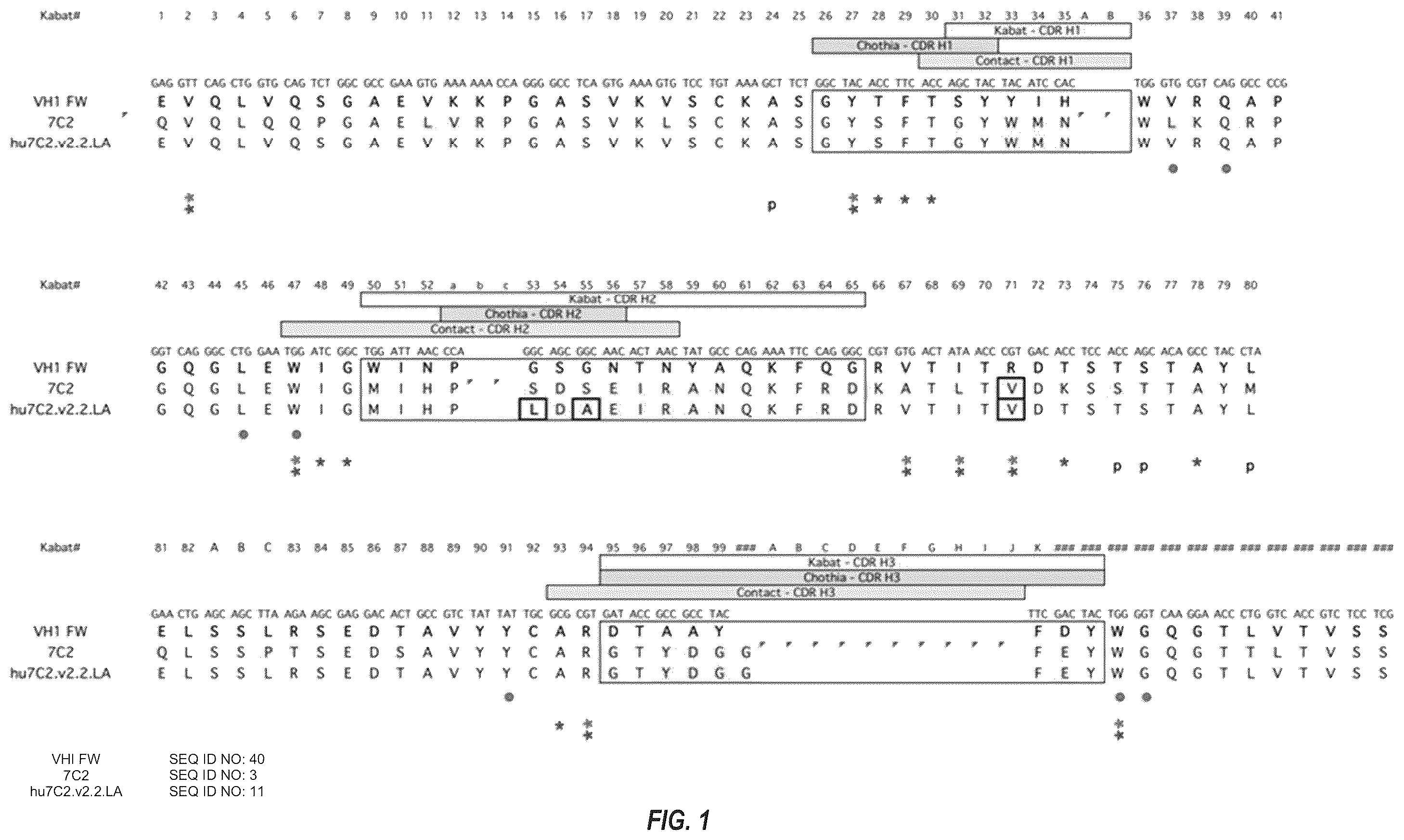 Patent US12492263 Figure 1 – Anti-HER2 antibodies and immunoconjugates