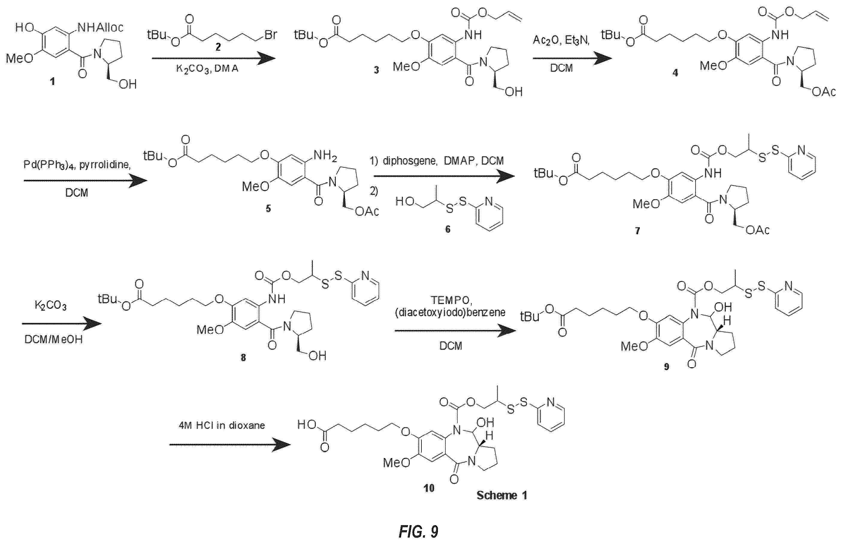 Patent US12492263 Figure 9 – Anti-HER2 antibodies and immunoconjugates