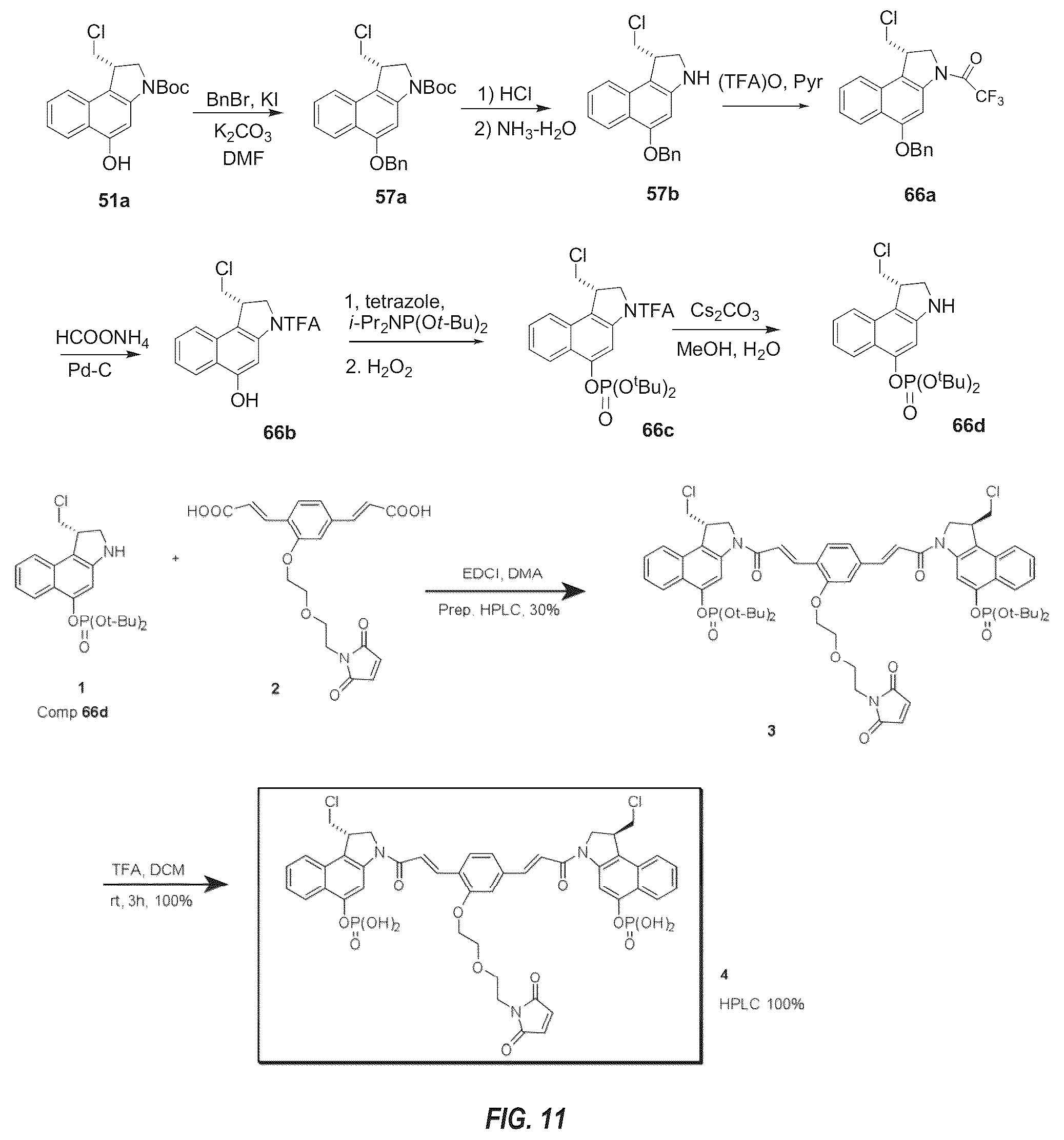 Patent US12492263 Figure 11 – Anti-HER2 antibodies and immunoconjugates