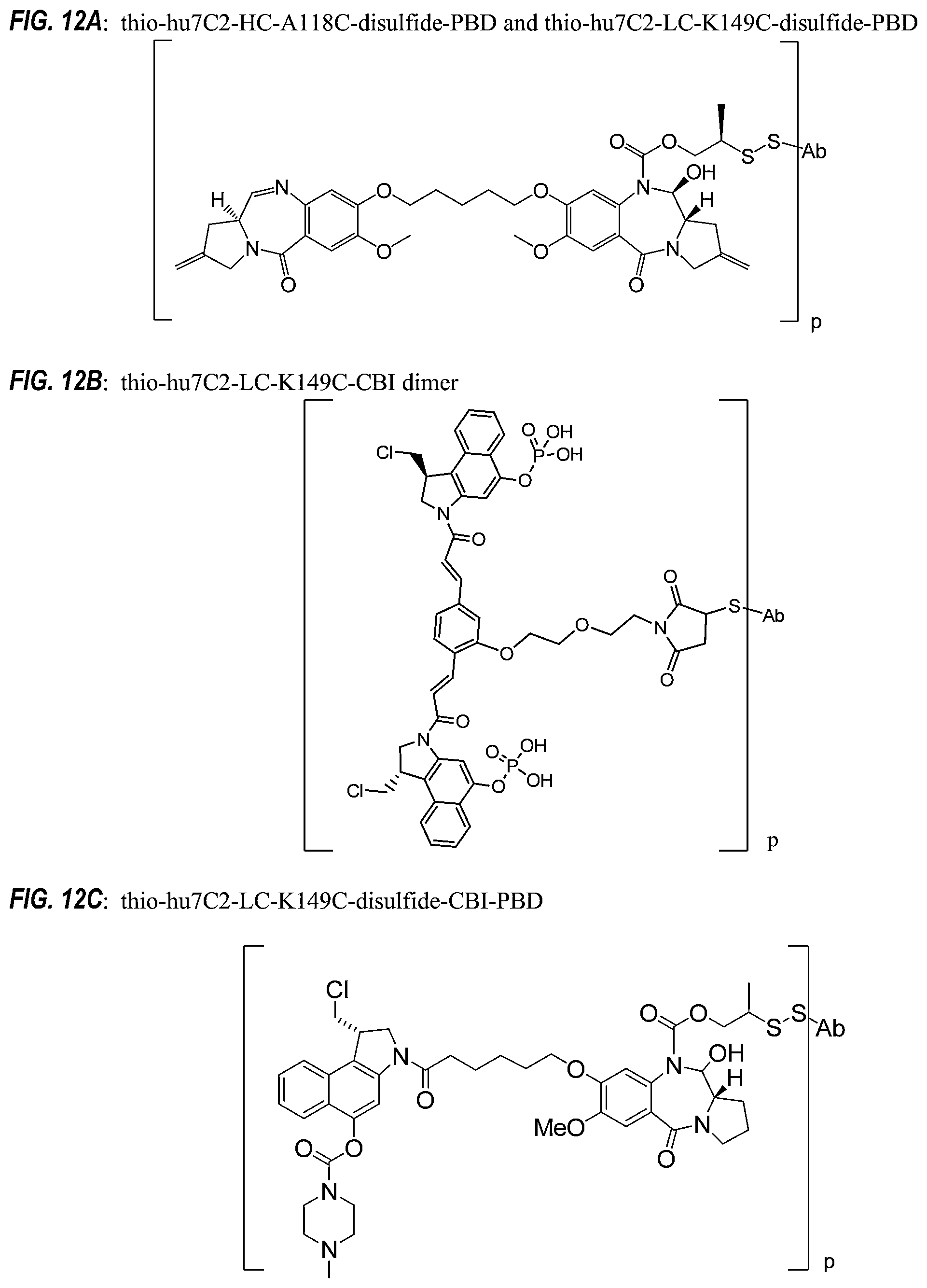 Patent US12492263 Figure 12 – Anti-HER2 antibodies and immunoconjugates