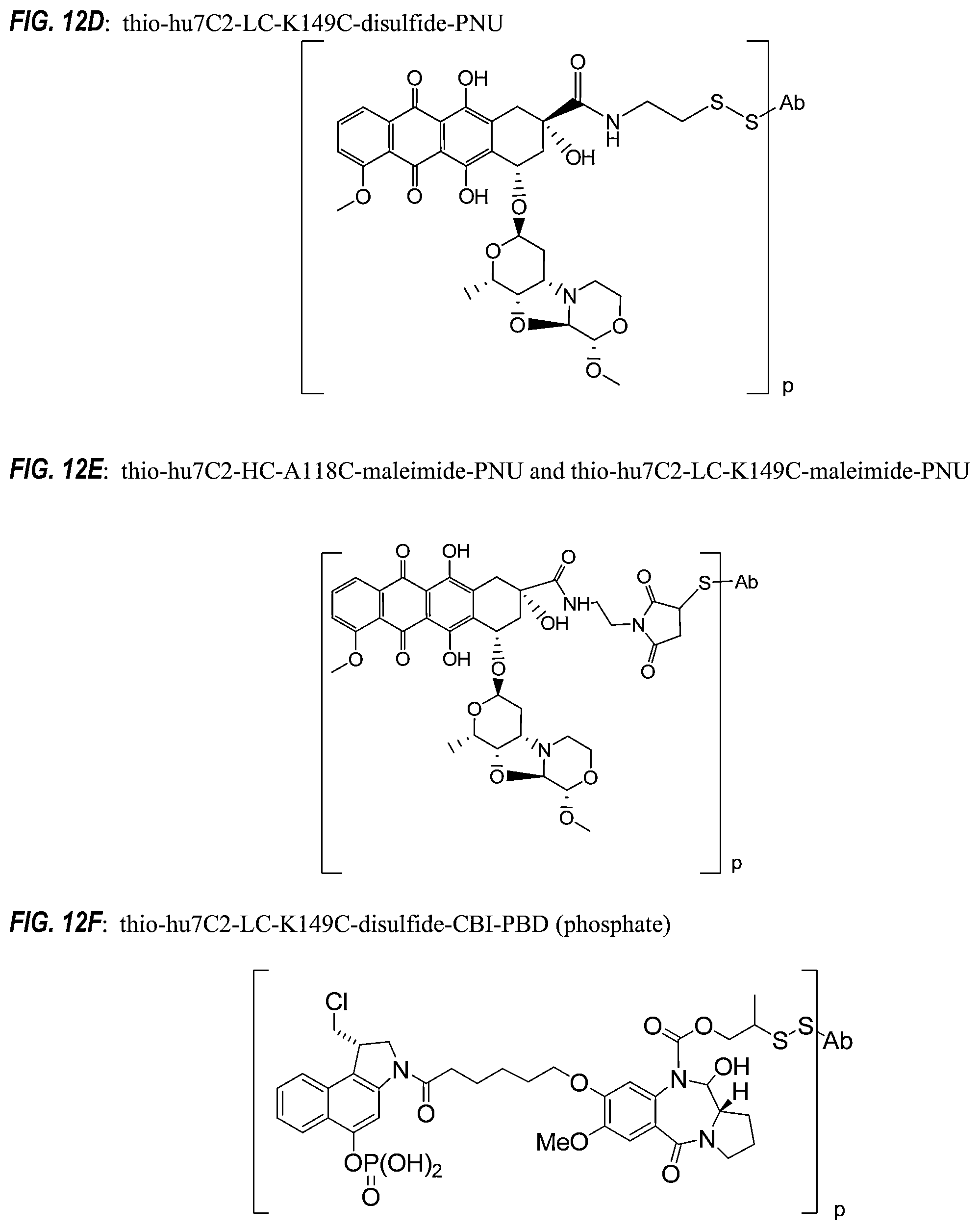 Patent US12492263 Figure 13 – Anti-HER2 antibodies and immunoconjugates