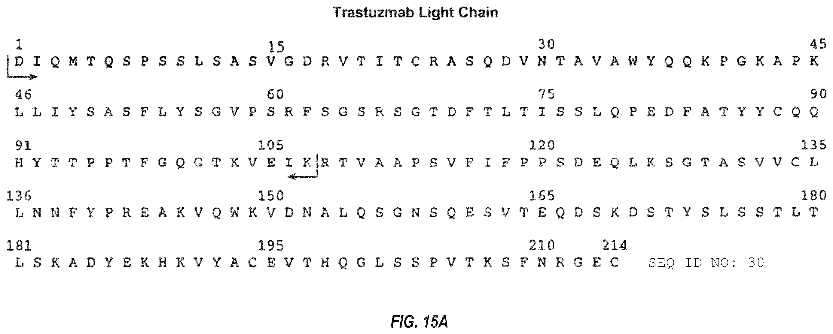 Patent US12492263 Figure 17 – Anti-HER2 antibodies and immunoconjugates