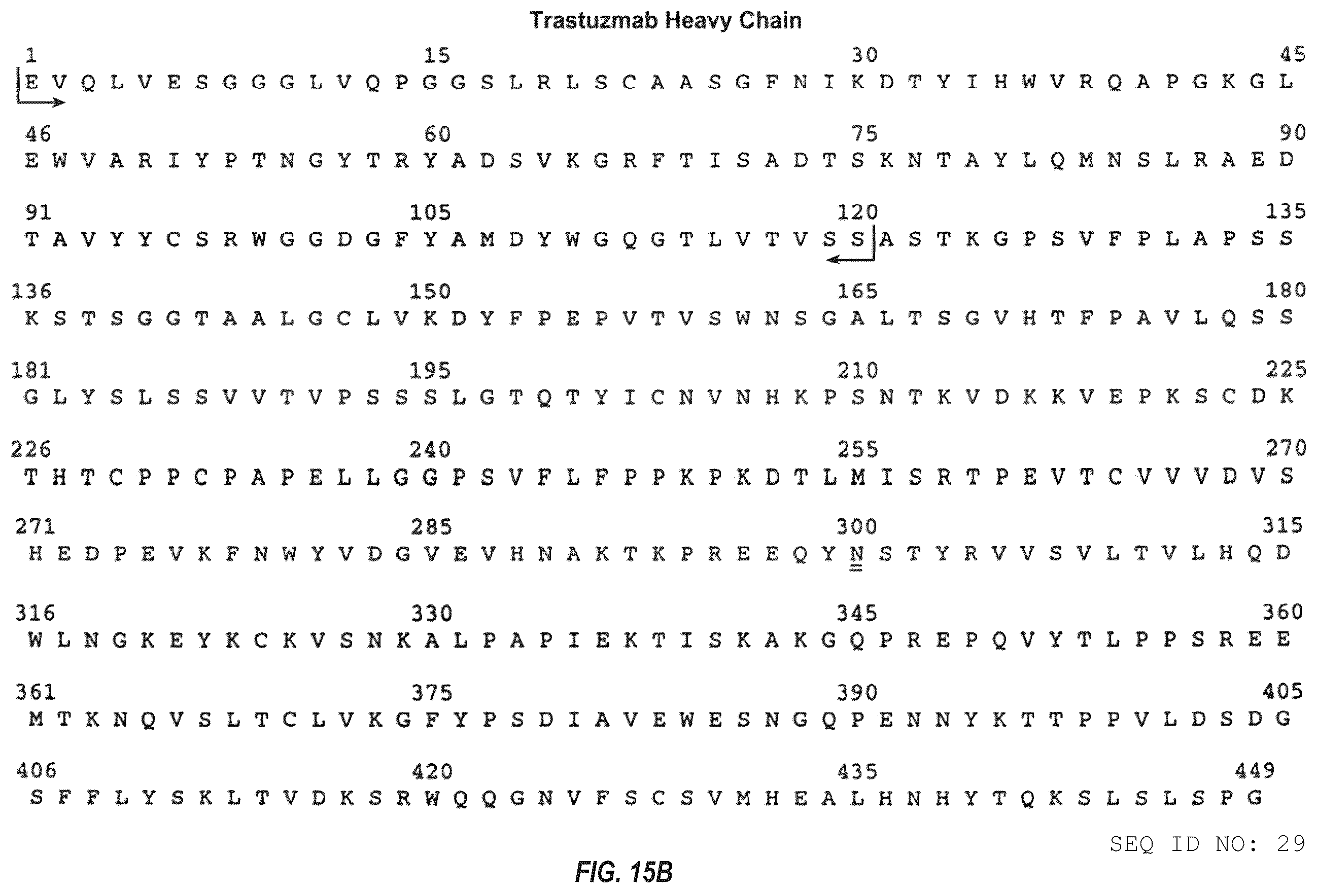 Patent US12492263 Figure 18 – Anti-HER2 antibodies and immunoconjugates