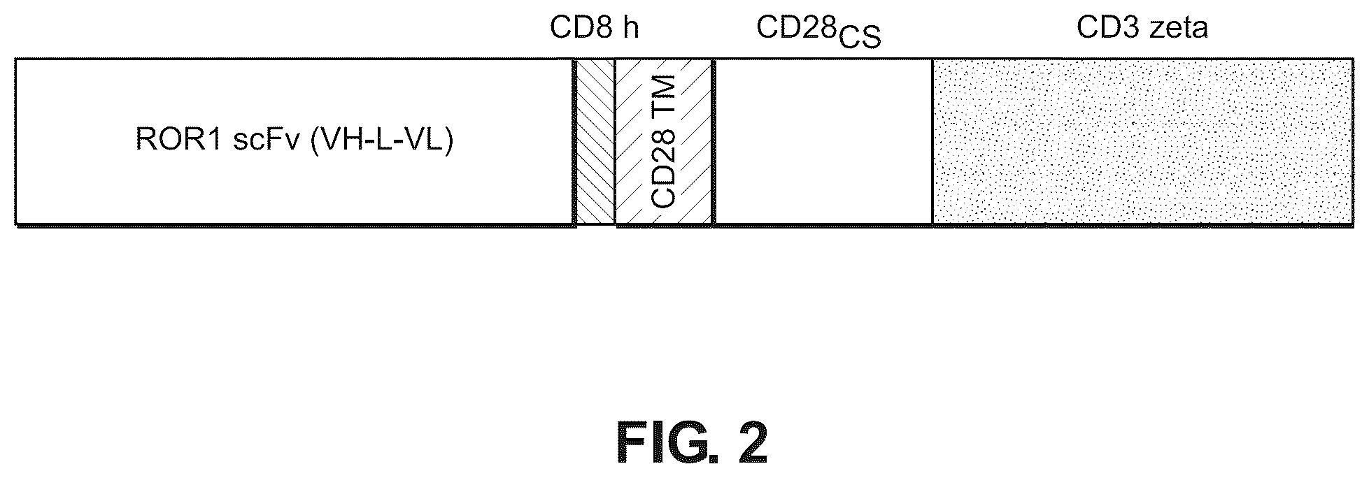 Patent US12492264 Figure 2 – Anti-ROR1 antibody and ROR1-targeting engineered cells