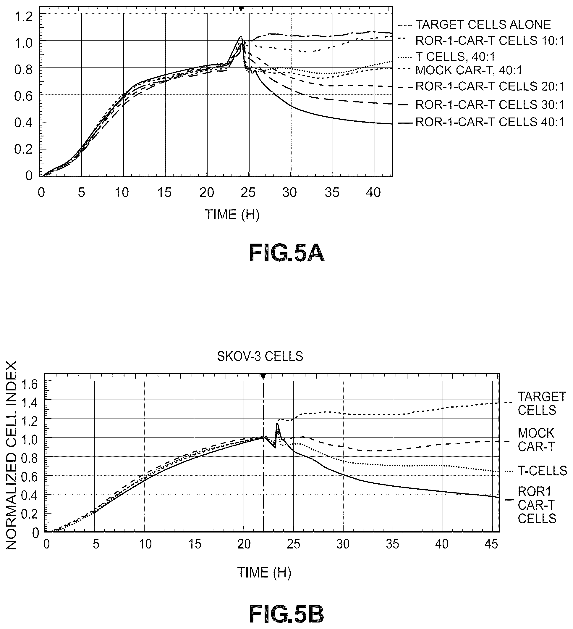 Patent US12492264 Figure 5 – Anti-ROR1 antibody and ROR1-targeting engineered cells