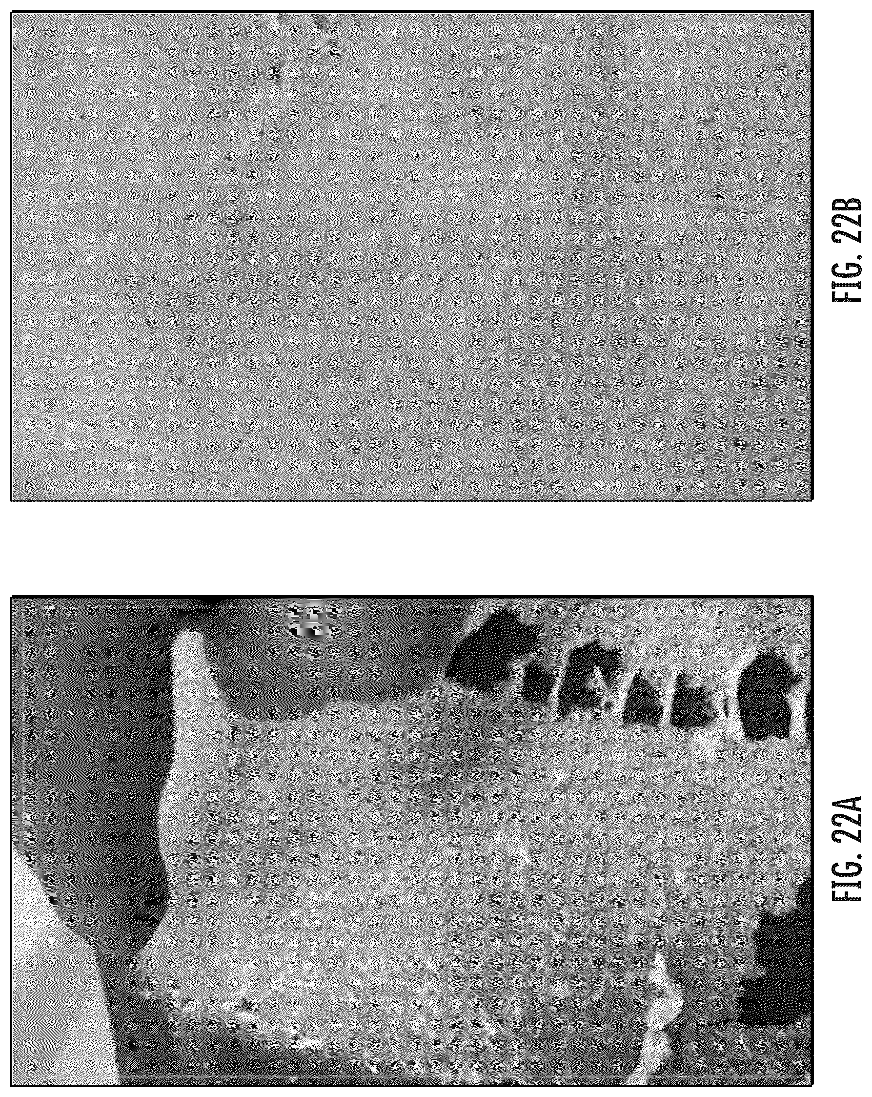 Patent US12492292 Figure 19 – Apertured polymer sheets incorporating nanoparticles