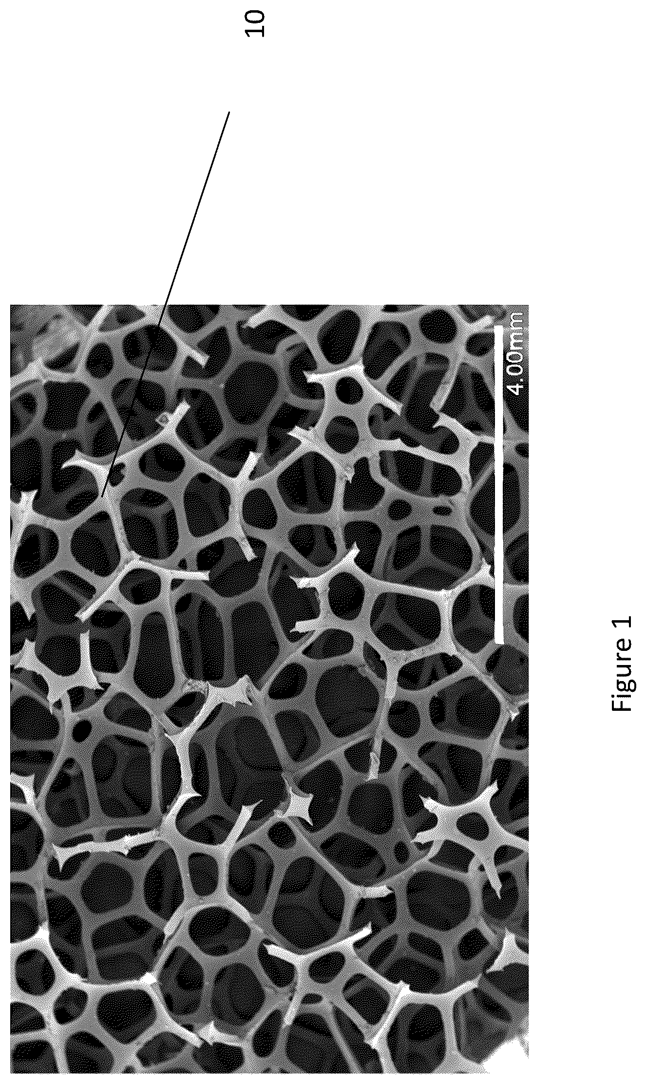 Patent US12492294 Figure 1 – Biocompatible porous materials and methods of manufacture and use