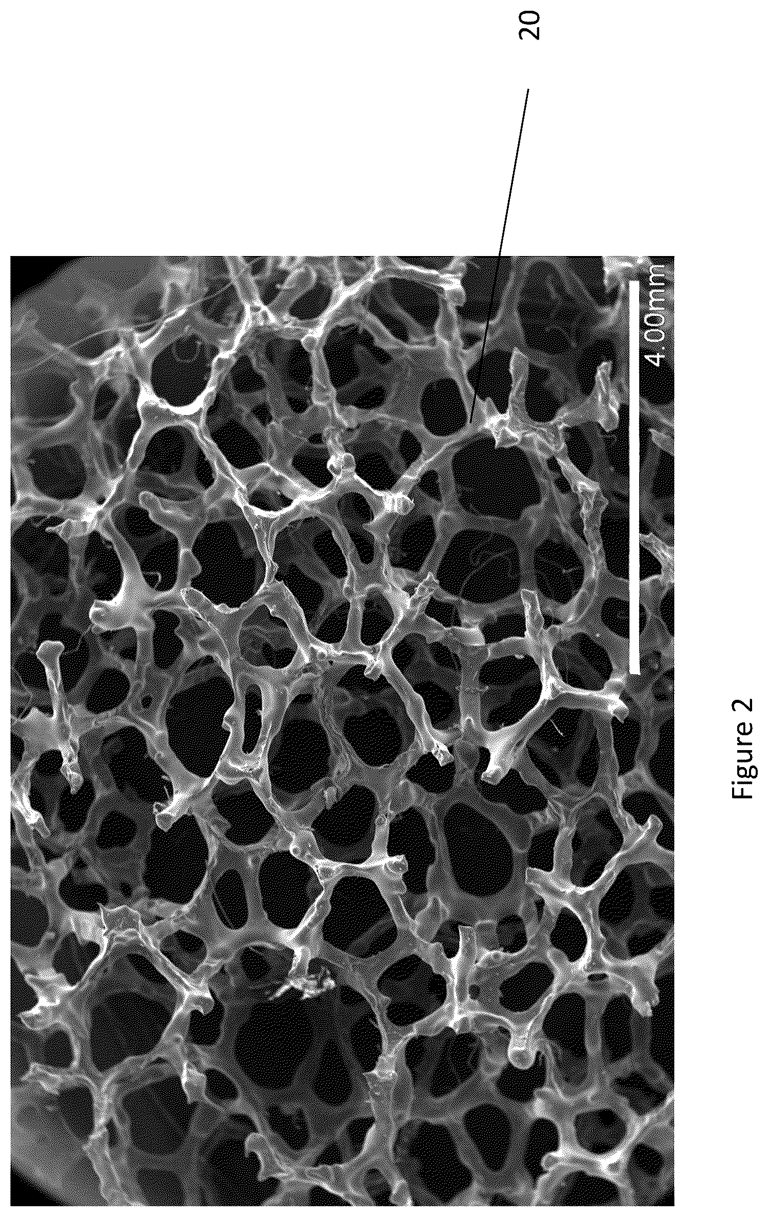 Patent US12492294 Figure 2 – Biocompatible porous materials and methods of manufacture and use