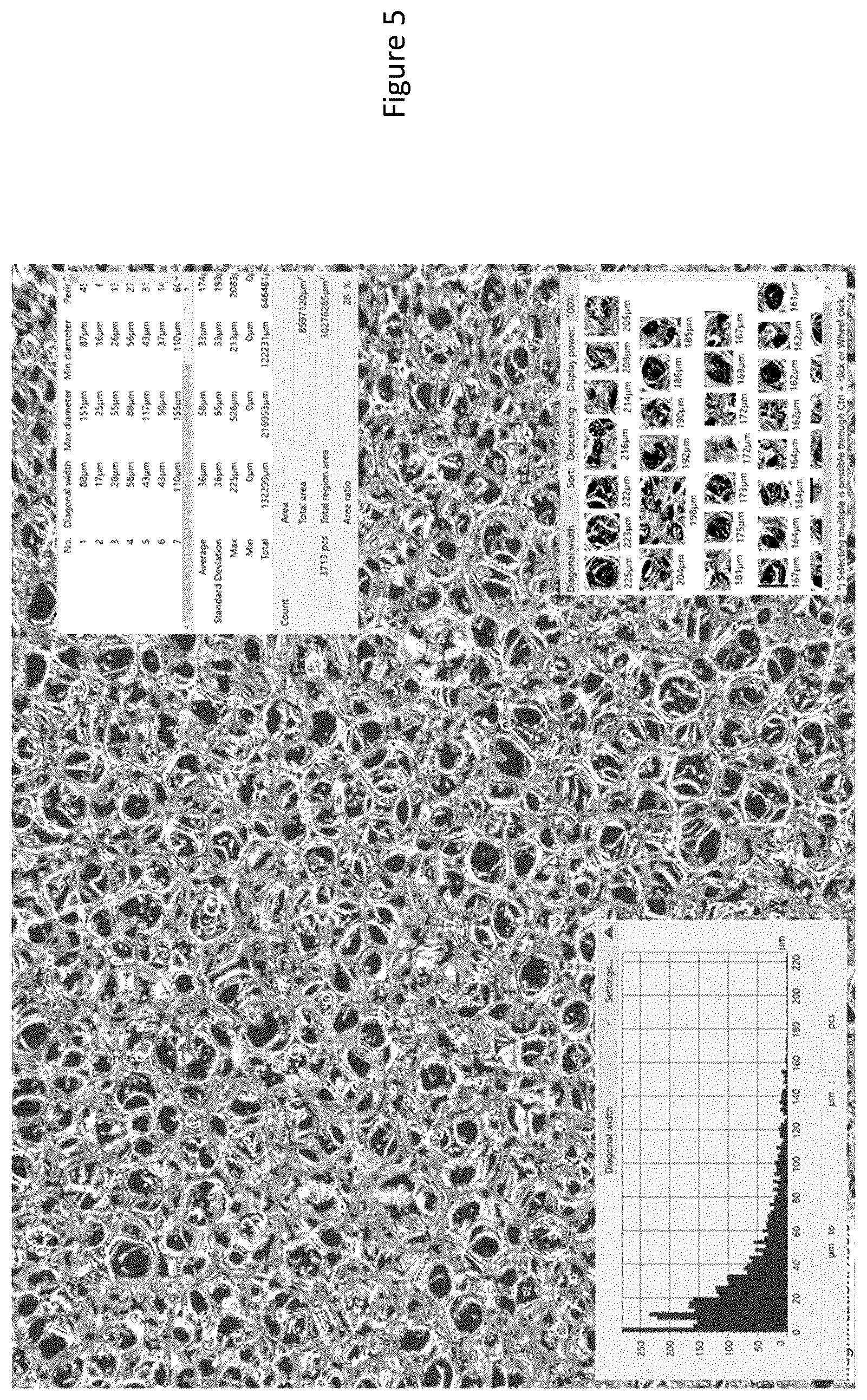 Patent US12492294 Figure 5 – Biocompatible porous materials and methods of manufacture and use