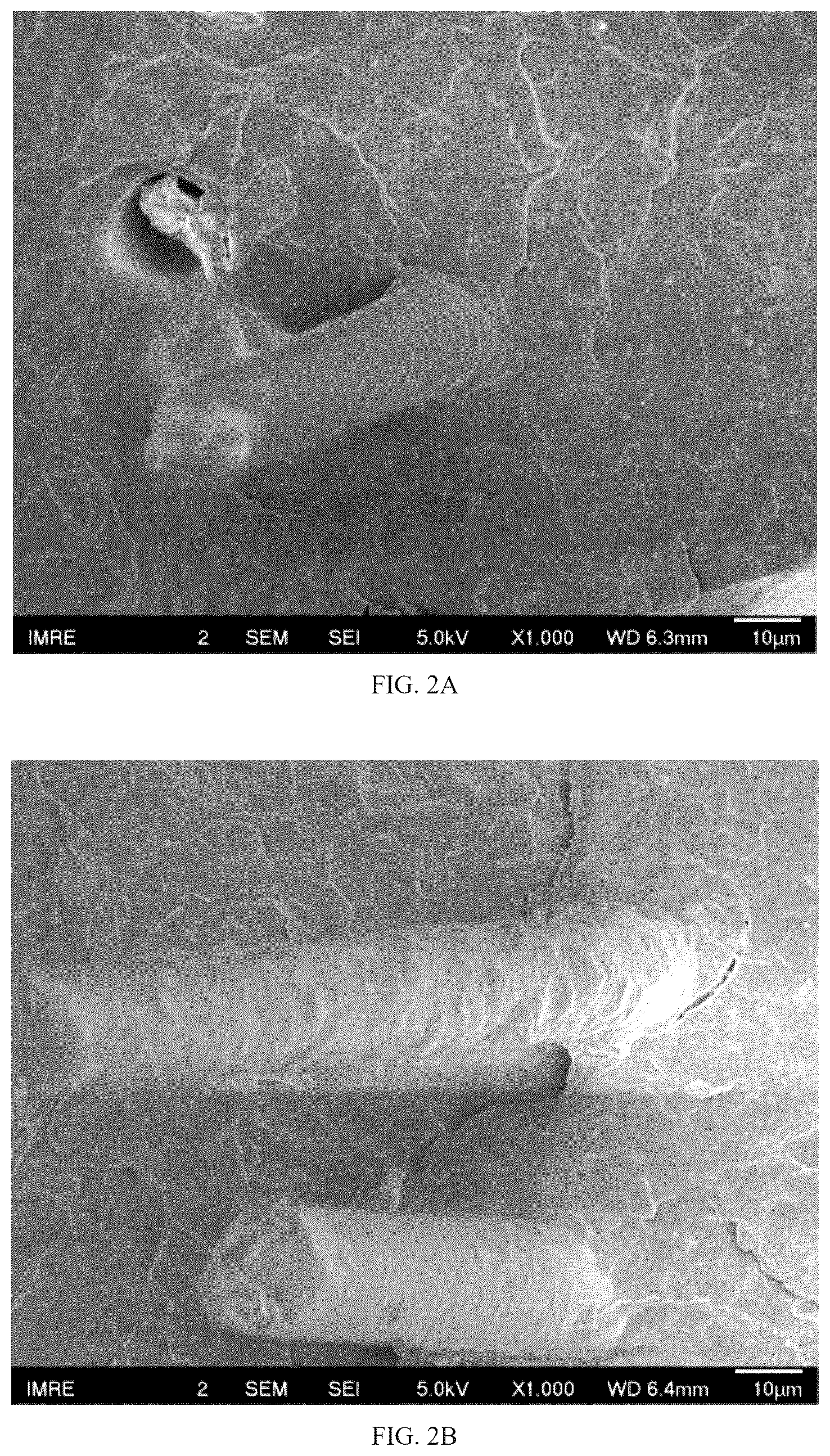 Patent US12492302 Figure 2 – Kit for producing a polyolefin composite